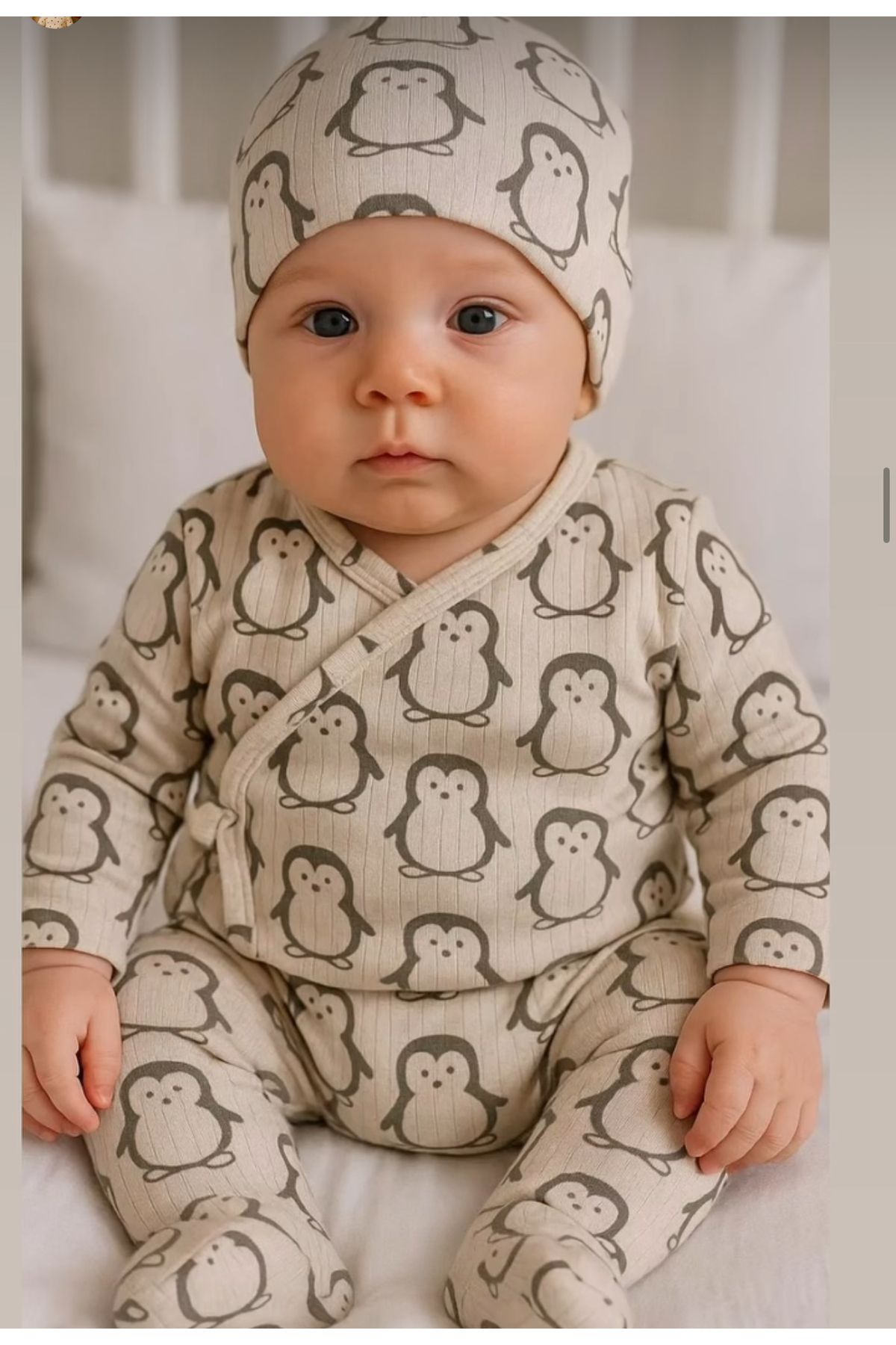 COŞAY penguen detaylı bebek takım