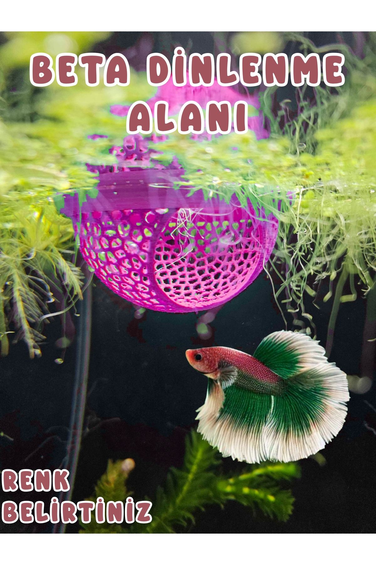 MDİZMİR Beta Dinlenme Alanı Balık Yuvası ( Pembe ) Üretim Tüpü Küçük Akvaryum Ve Büyük Akvaryum Uygun