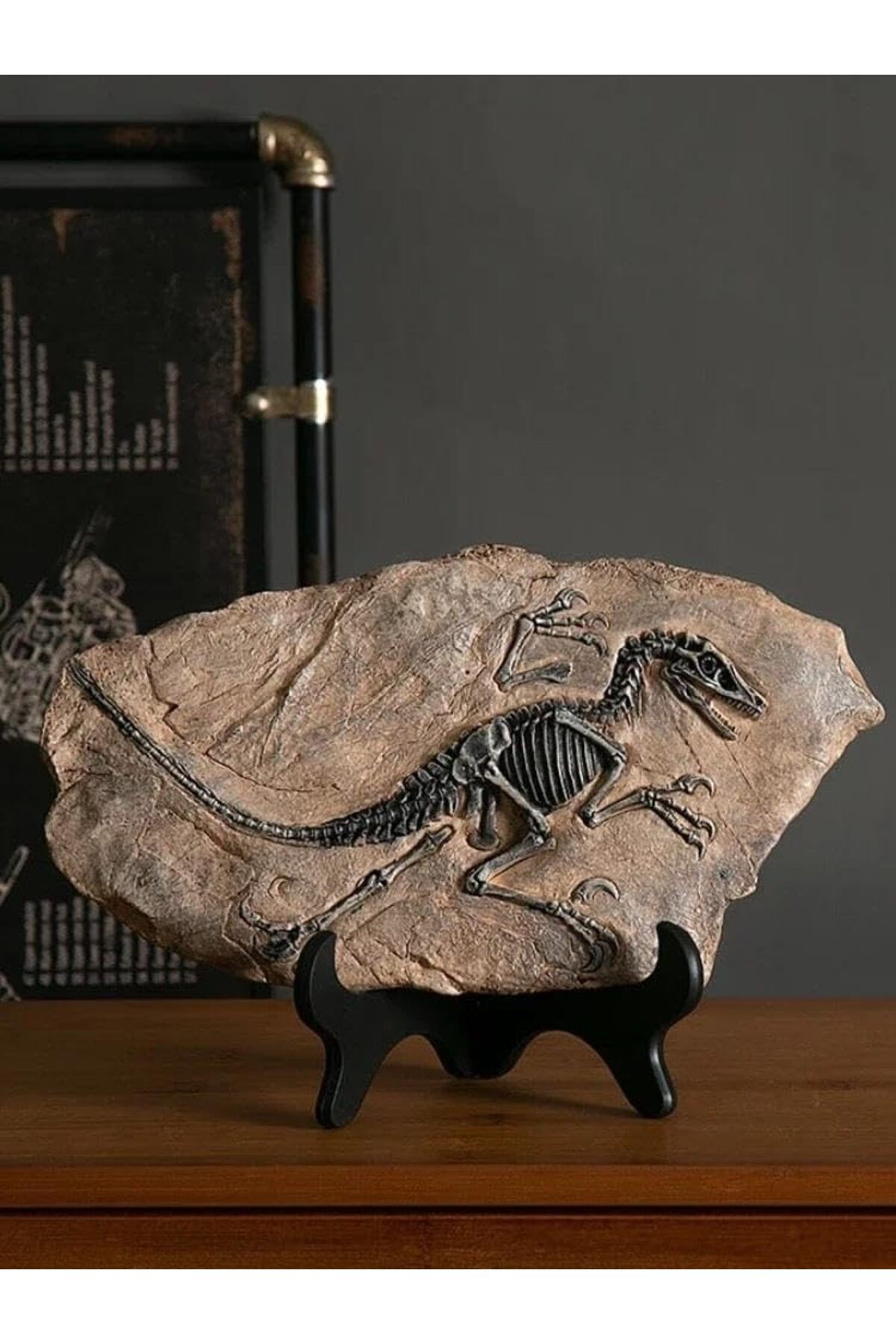 STOREMAX OZN Vintage Dinozor Fosil Reçine Heykeli Retro Tarzda Minyatür Kapalı Alan Dekorasyonu ve Koleksi