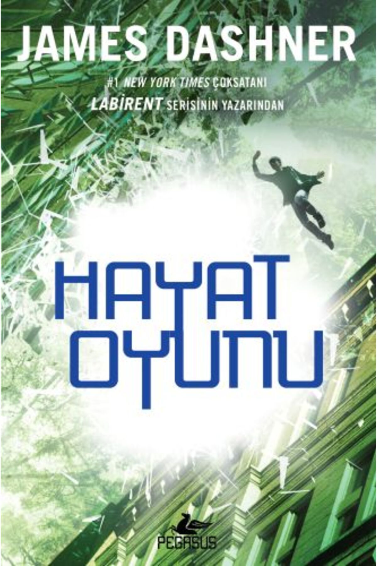 Karatay Yayınları SanalAğ 3 Hayat Oyunu