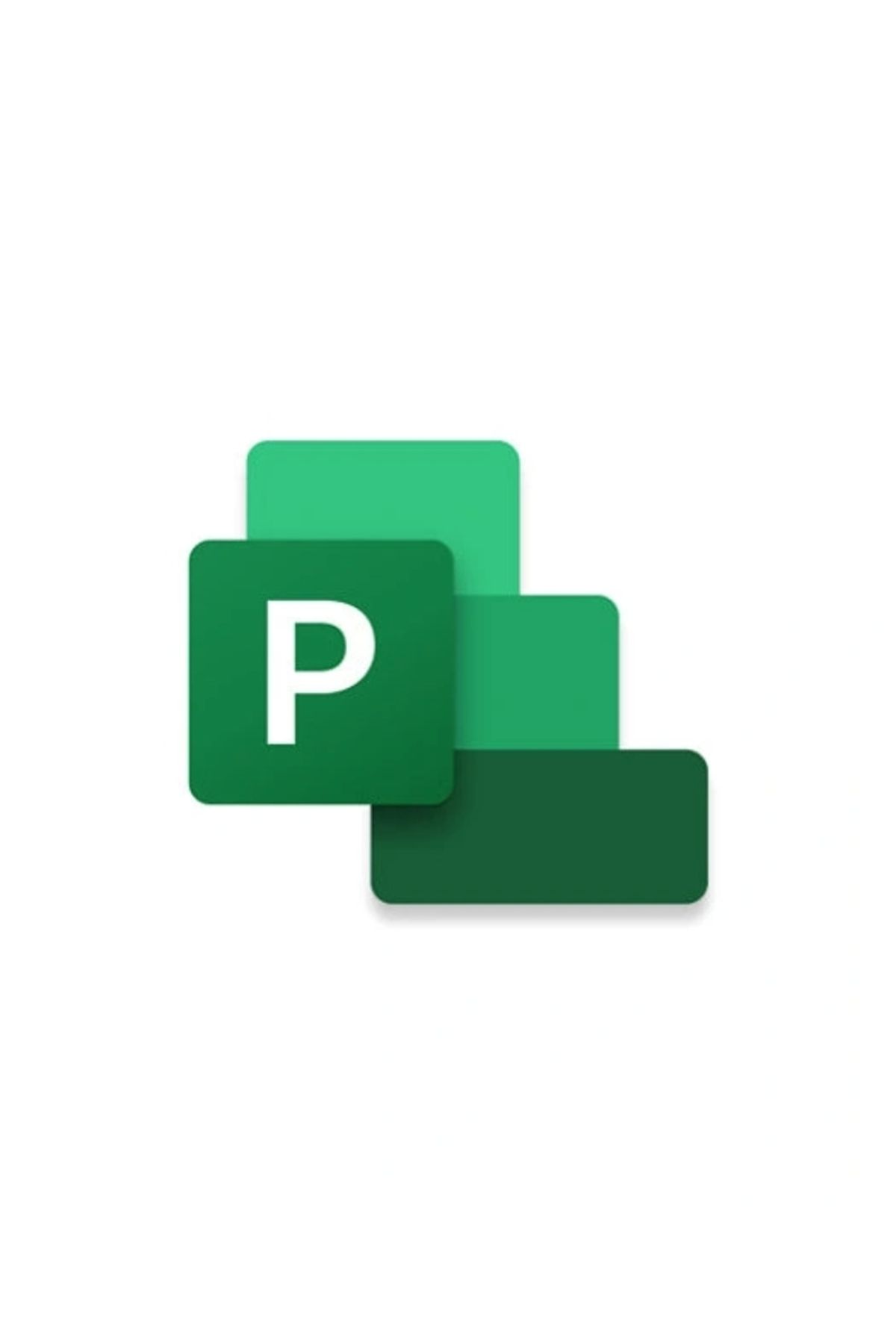 ShopNova Microsoft Project Pro 2024 - ESD