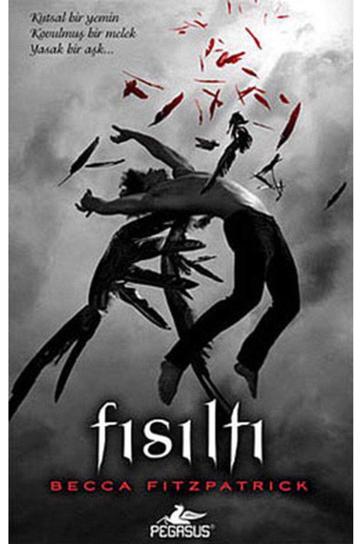 Karatay Yayınları Hush Hush Serisi 1 Kitap Fısıltı Ciltli