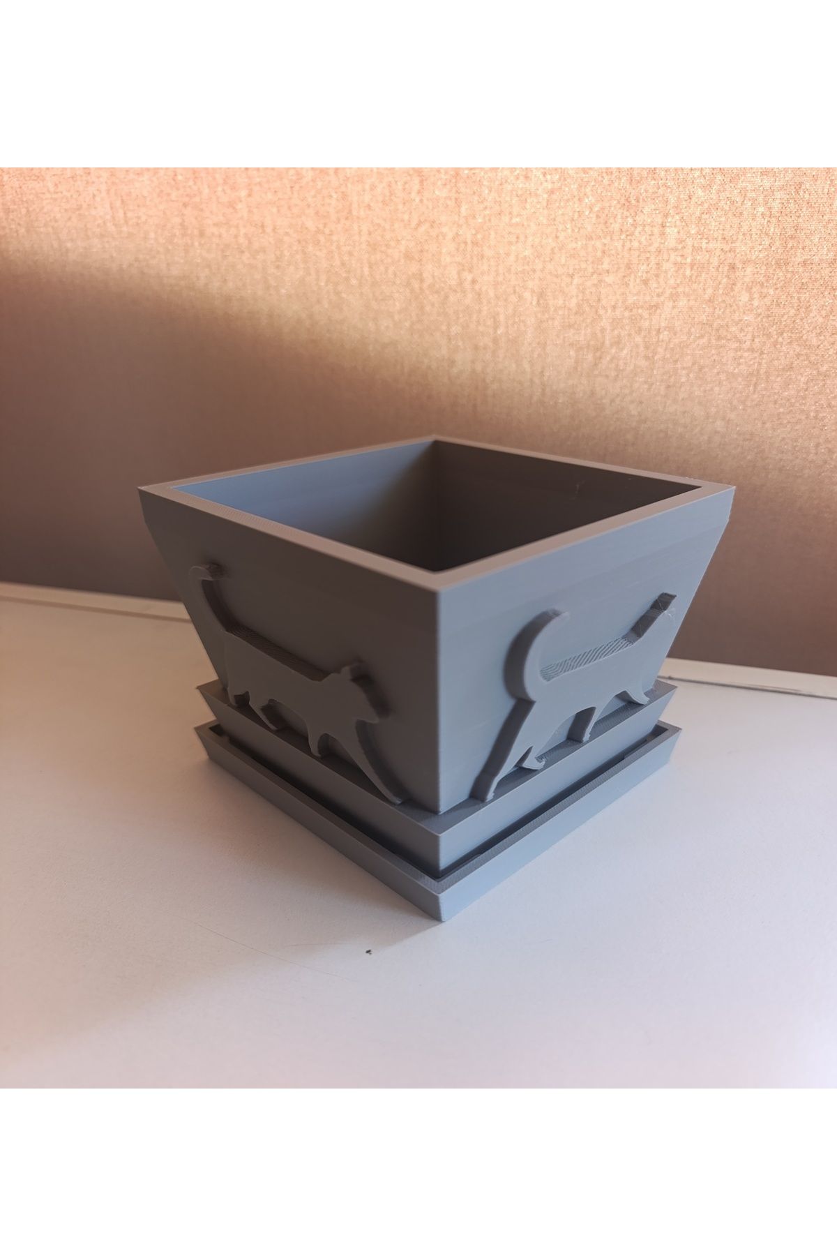 Mey3DDesign Sukulent Saksı Dekoratif Kedi Kabartmalı