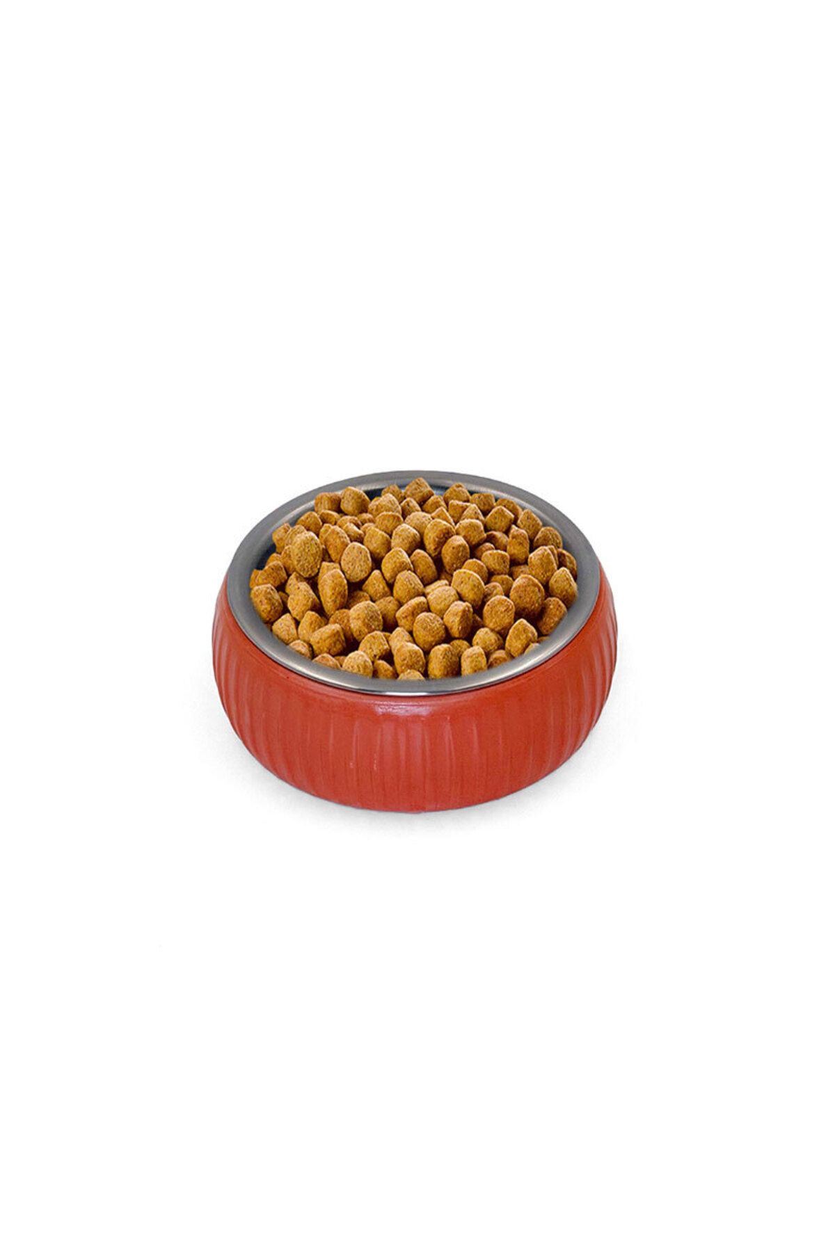 kuzenler store Mikopet Organik Seramik Mama Kabı Kiremit