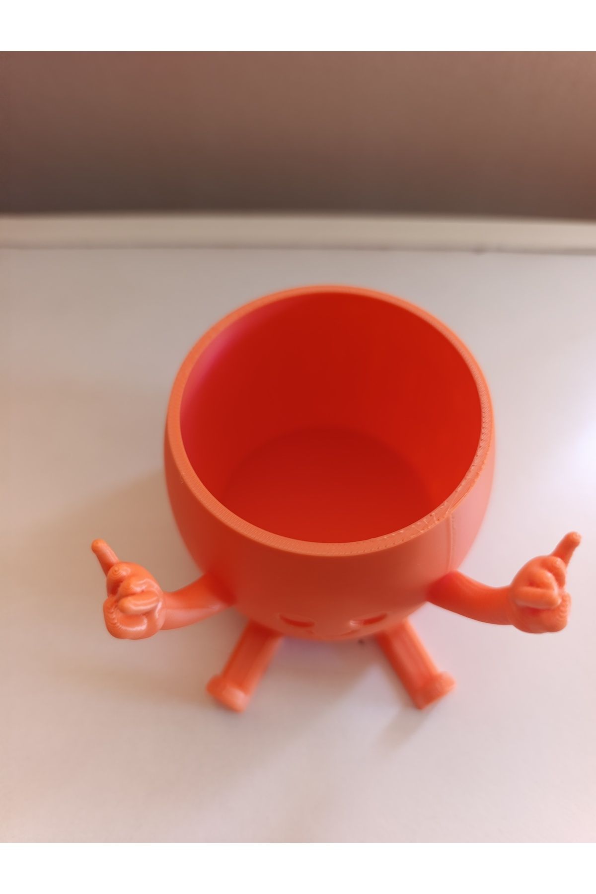 Mey3DDesign Smiley Sukulent Saksı