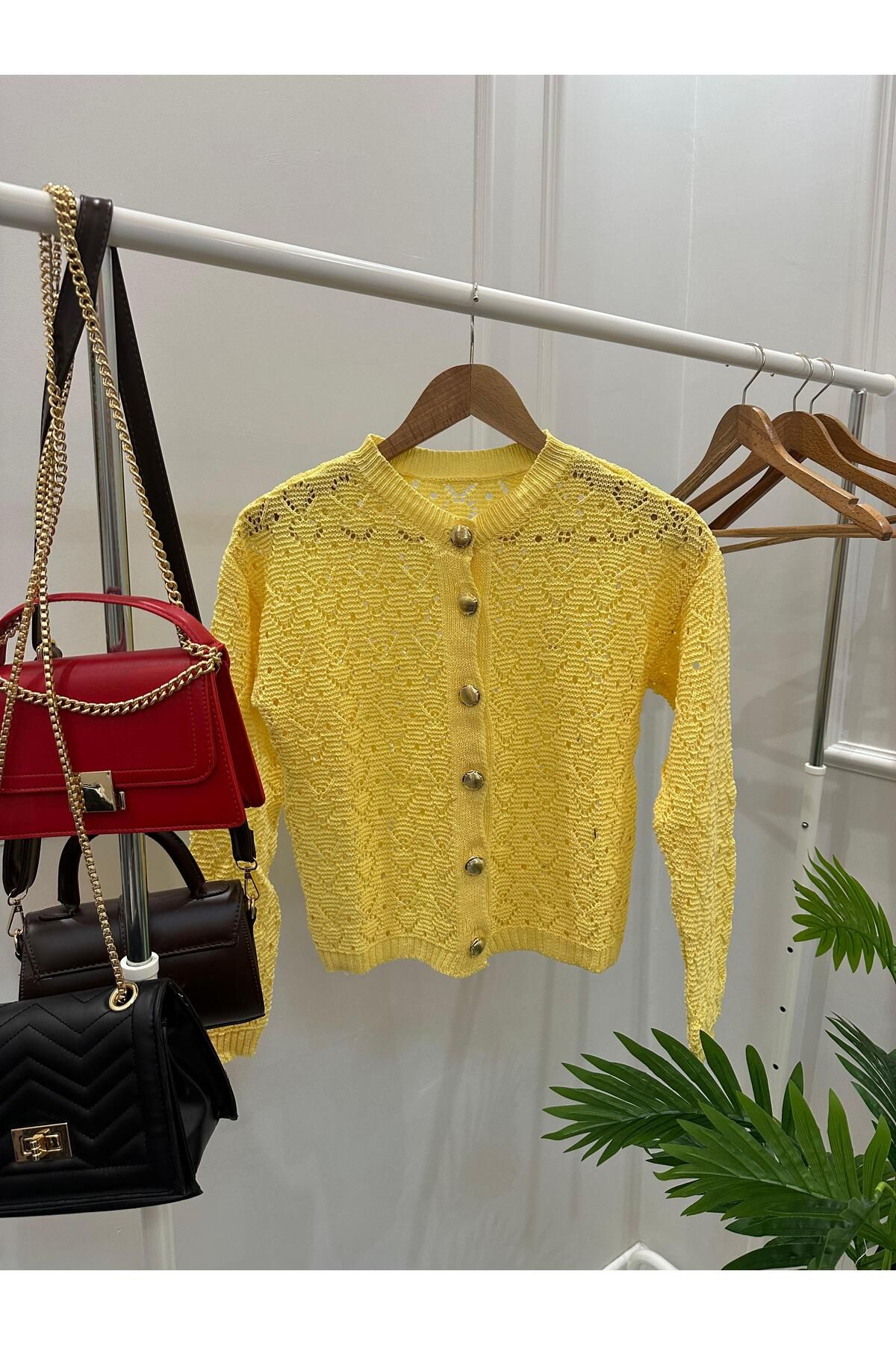 Butik Ajurlu Düğmeli Mevsimlik Triko Hırka BK-4383
