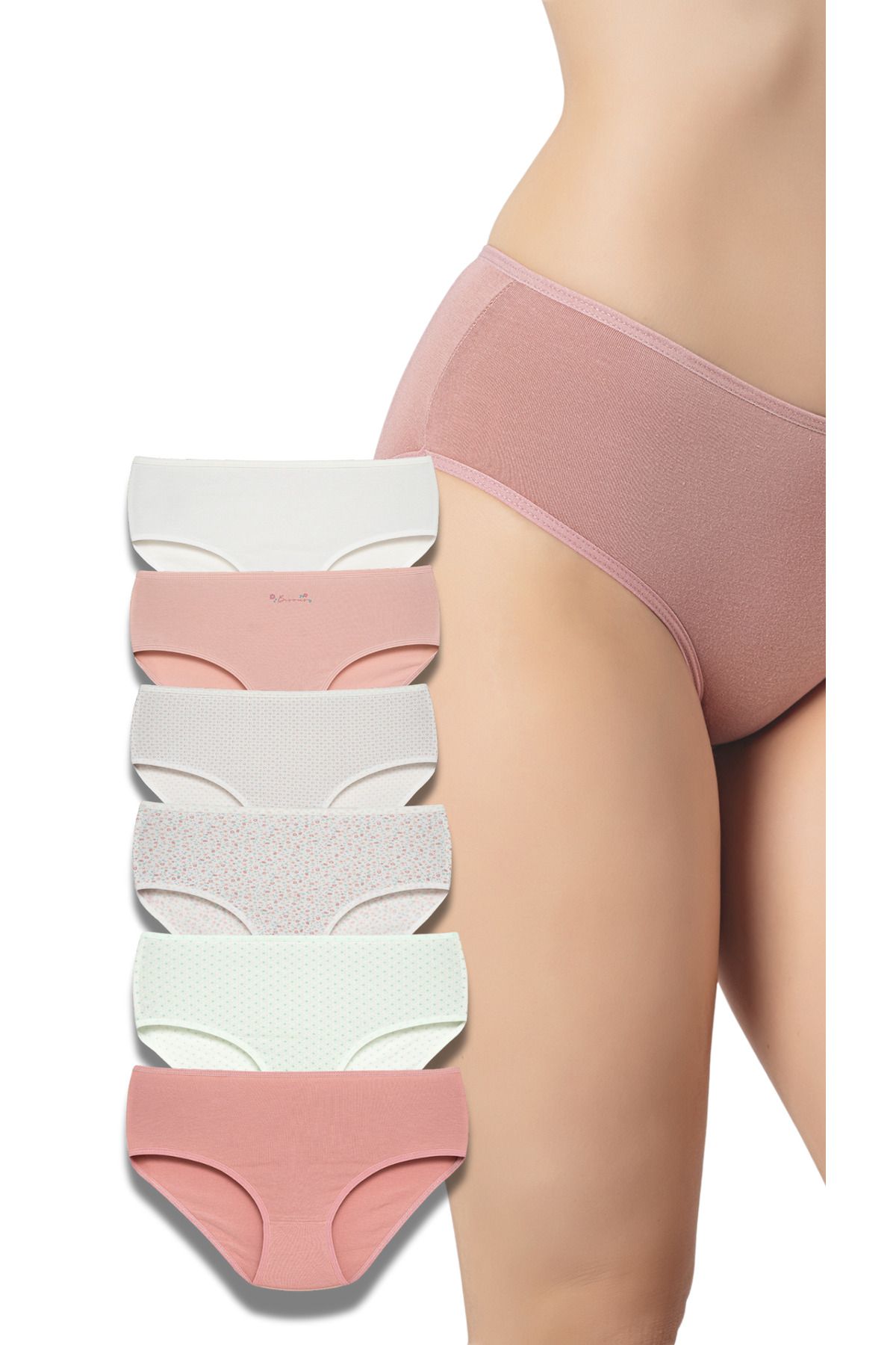 BEGBOR LİNGERİE Begbor Kadın 6’lı Yüksek Bel Pamuklu Slip Külot Seti – Soft Elegance