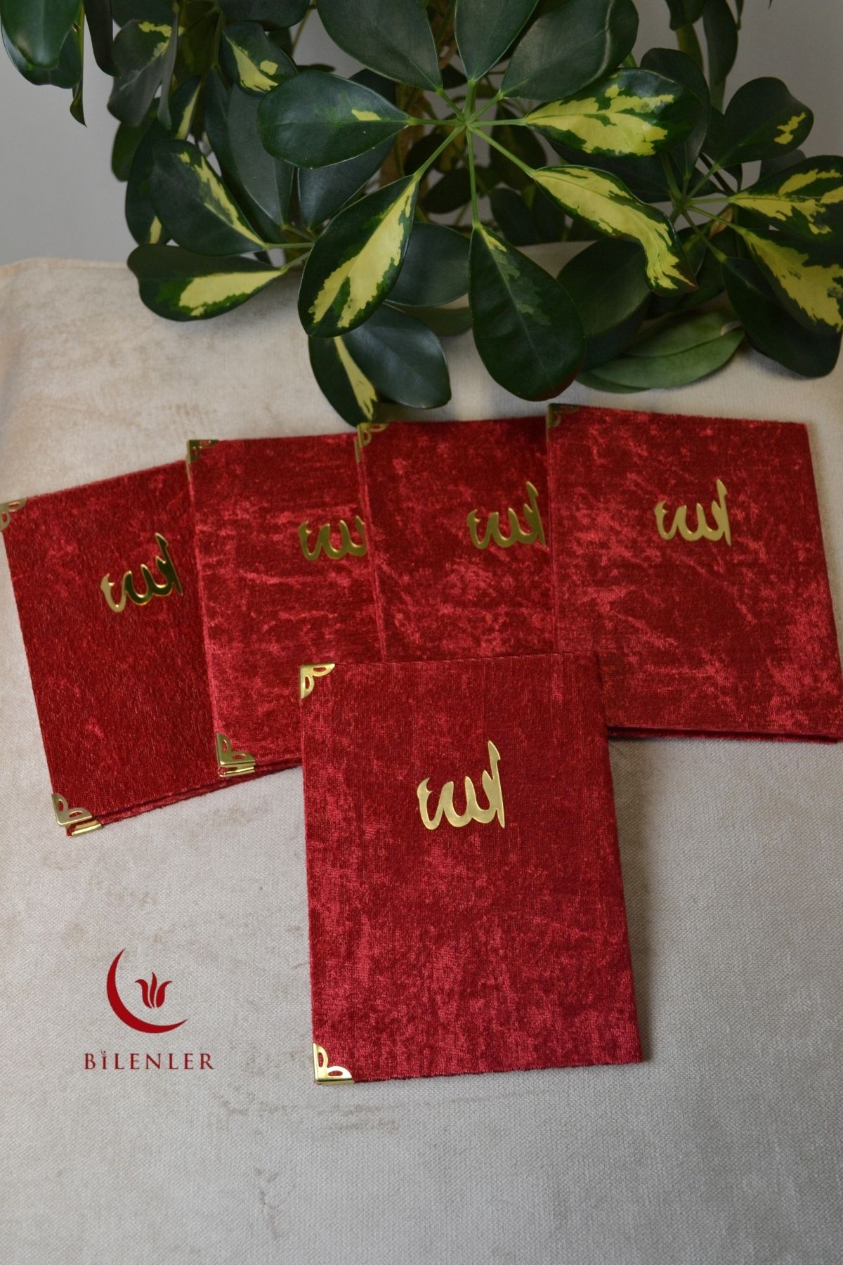 Bilenler Kadife Kapaklı Allah Lafızlı 20 Adet Ekonomik Yasin Kitabı - 12x17 cm, 80 Sayfa