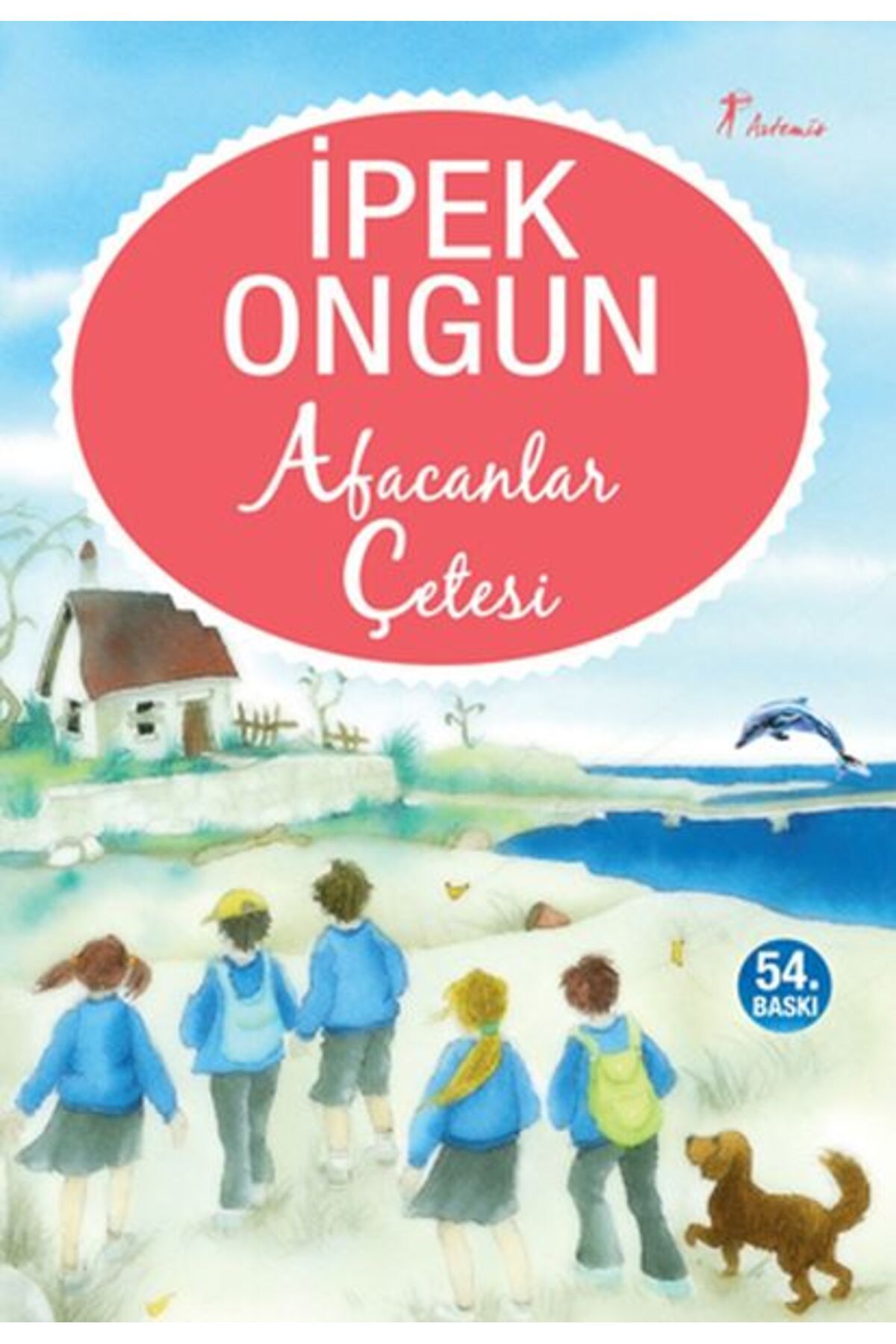 Artemis Yayınları Afacanlar Çetesi