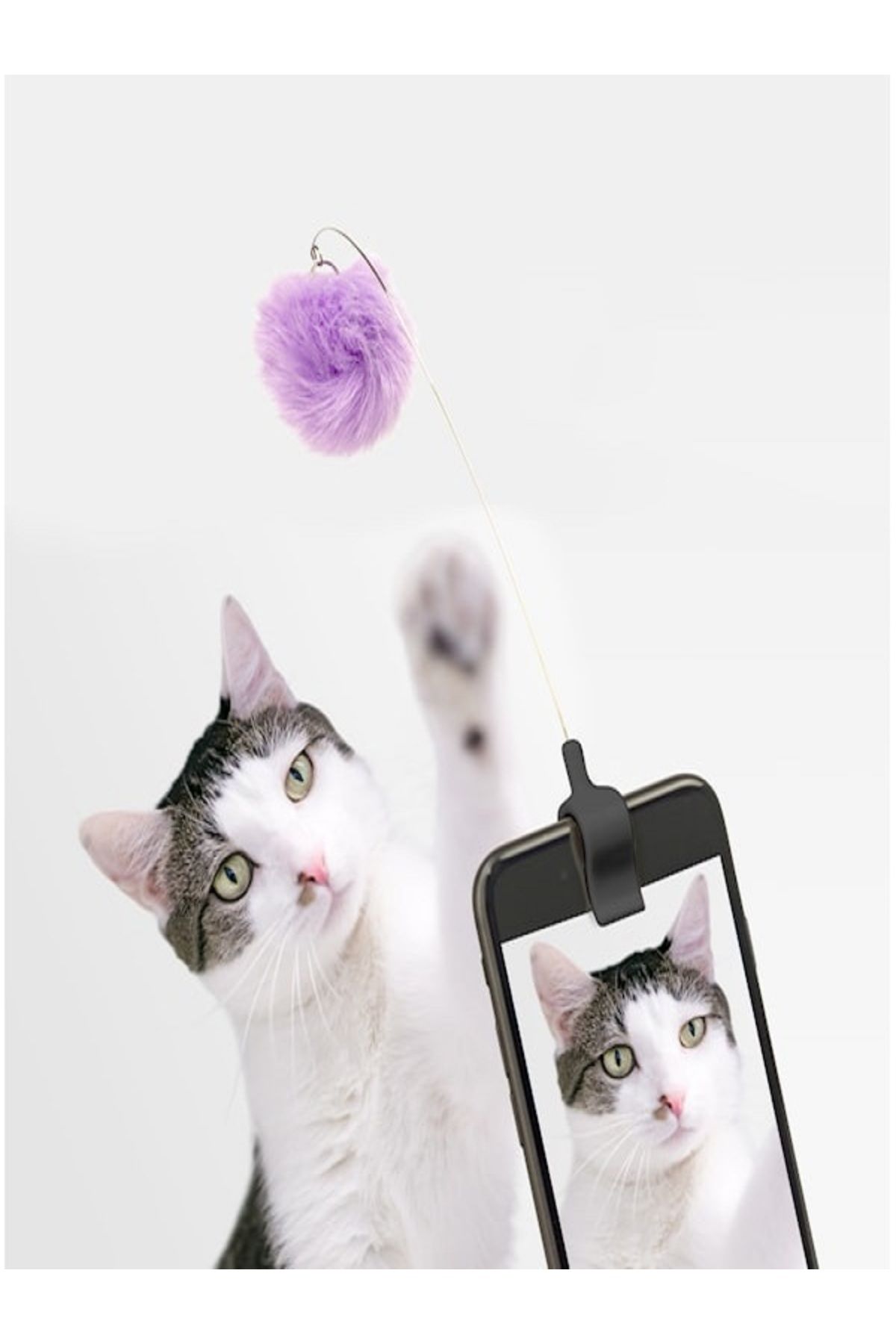 Kikkerland Kedi Kitty Telefon Klipsi