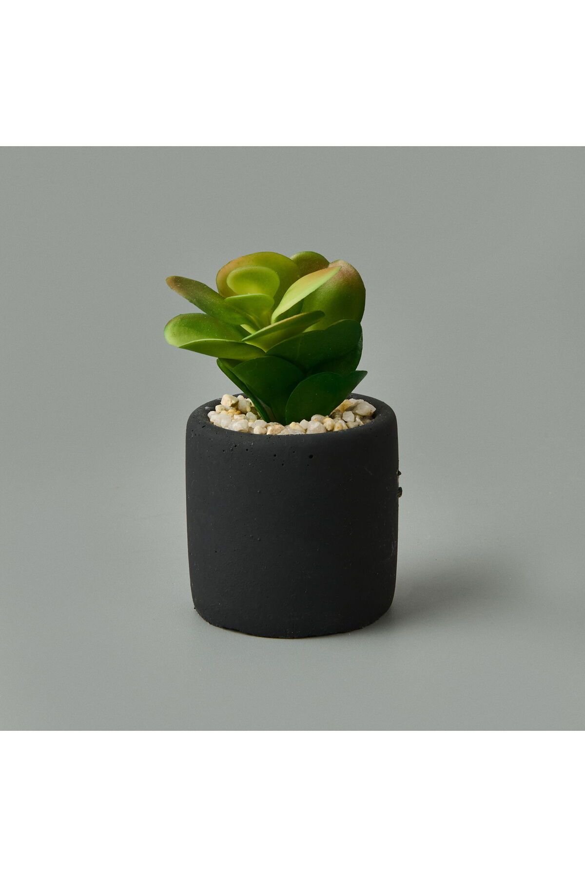 ASPARTAM Mini Pot Sukulent - Siyah - 8x6x6 cm