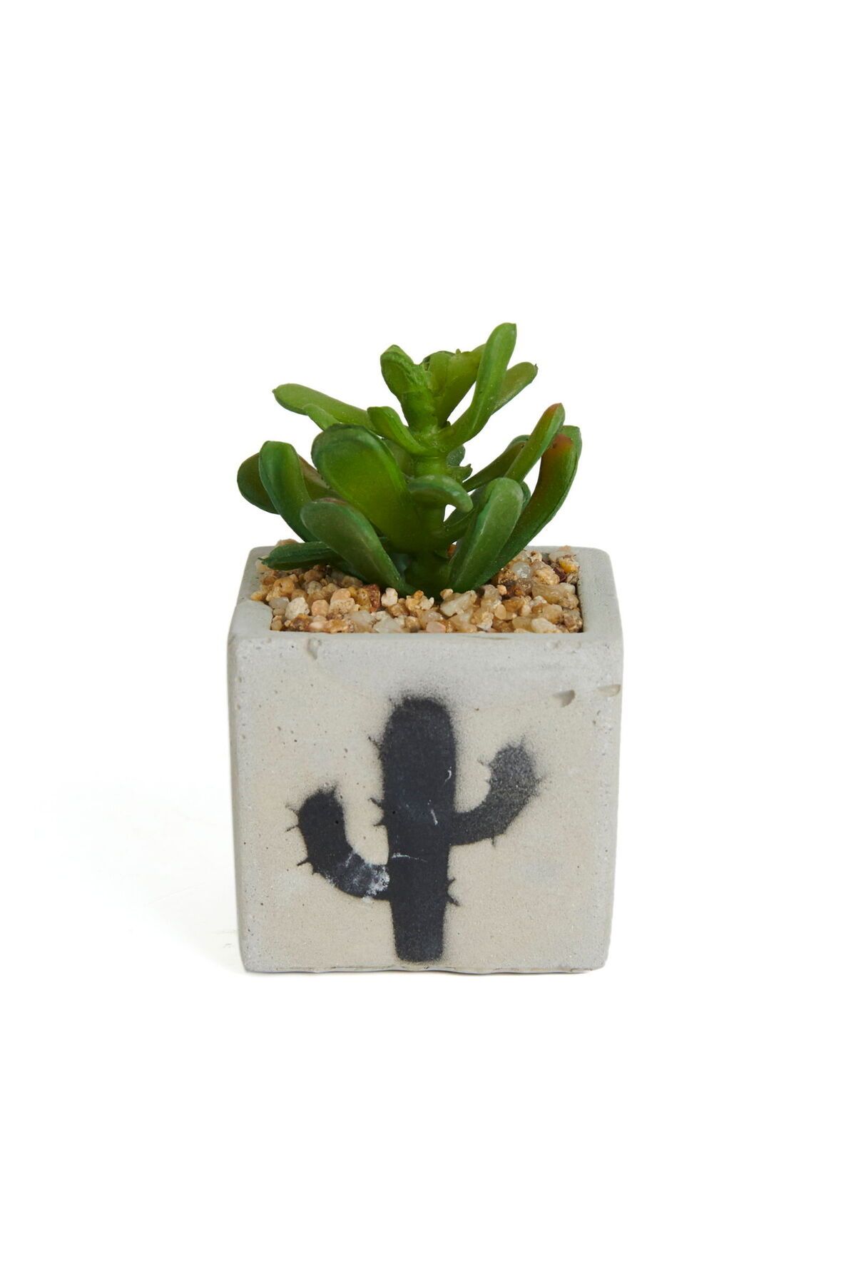 ASPARTAM Beton Saksıda Yapay Sukulent - - 7x10 cm