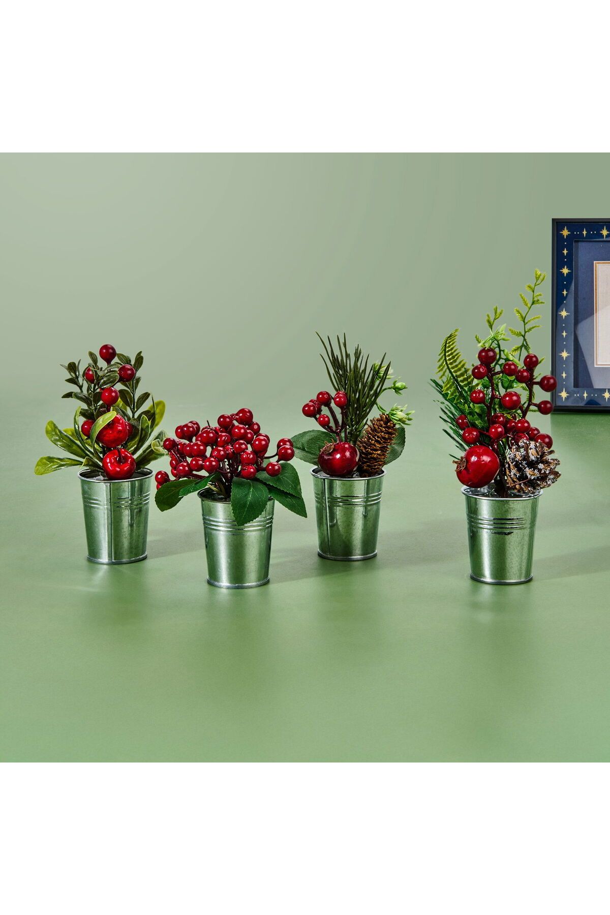 ASPARTAM With Ware Mini Saksıda Kokina Çiçek - - 14 cm