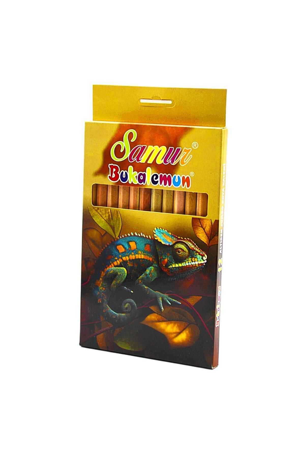 Samur Bukalemun Tam Boy Jumbo Kuru Boya 12 Renk