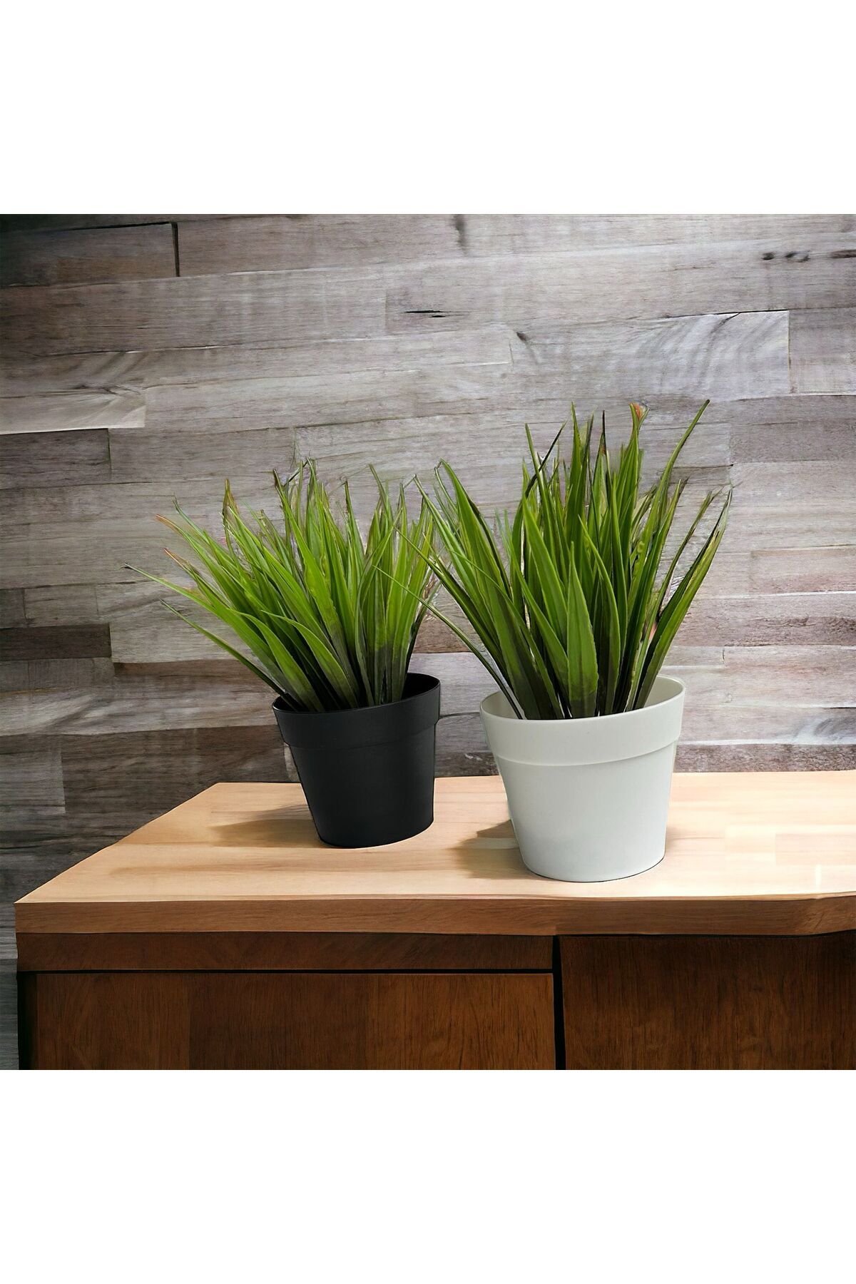 MDZ COLLECTION Mdz Home İkili Dekoratif Saz Yeşil Çimen