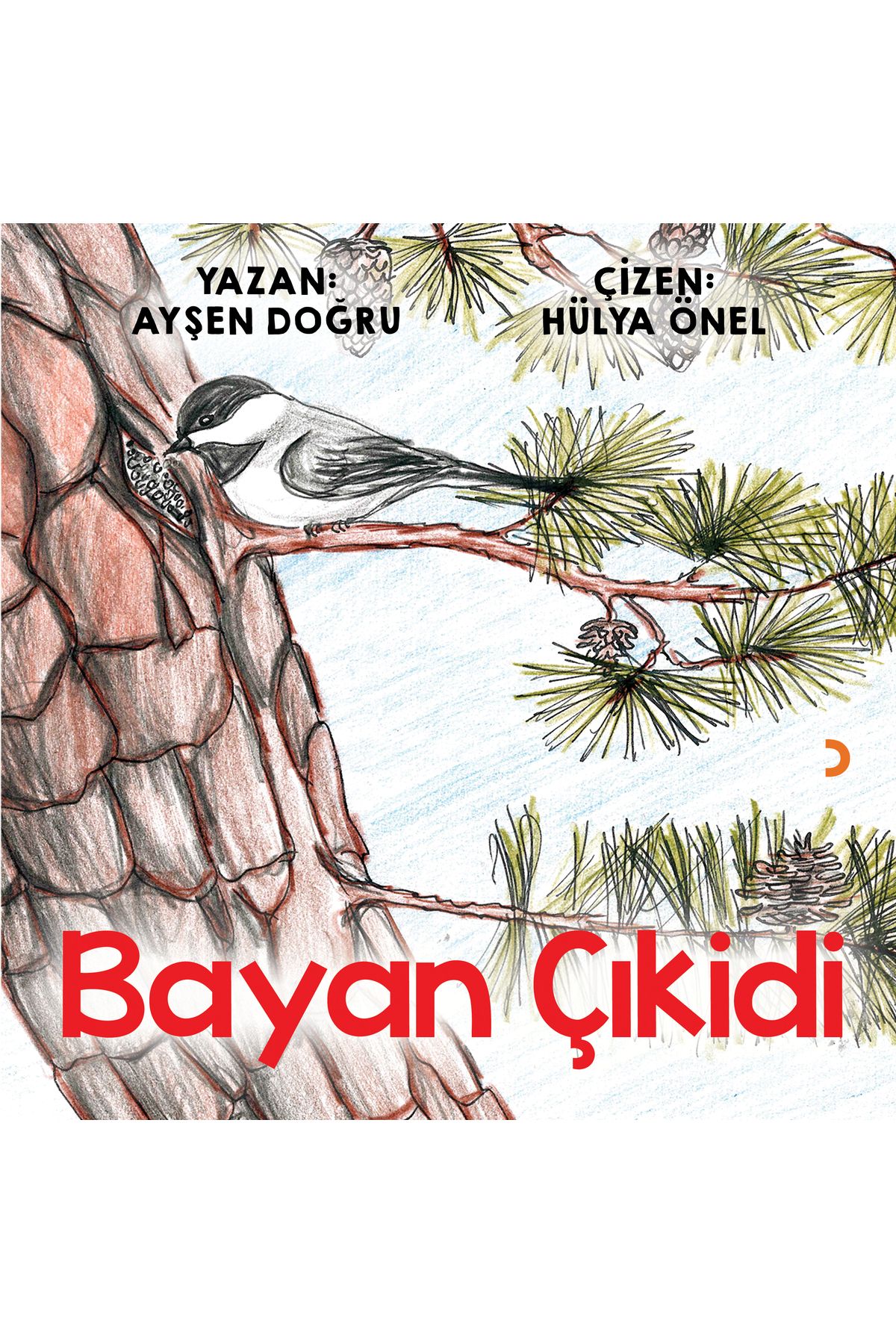 Cinius Yayınları Çıkidi & Ayşen Doğru