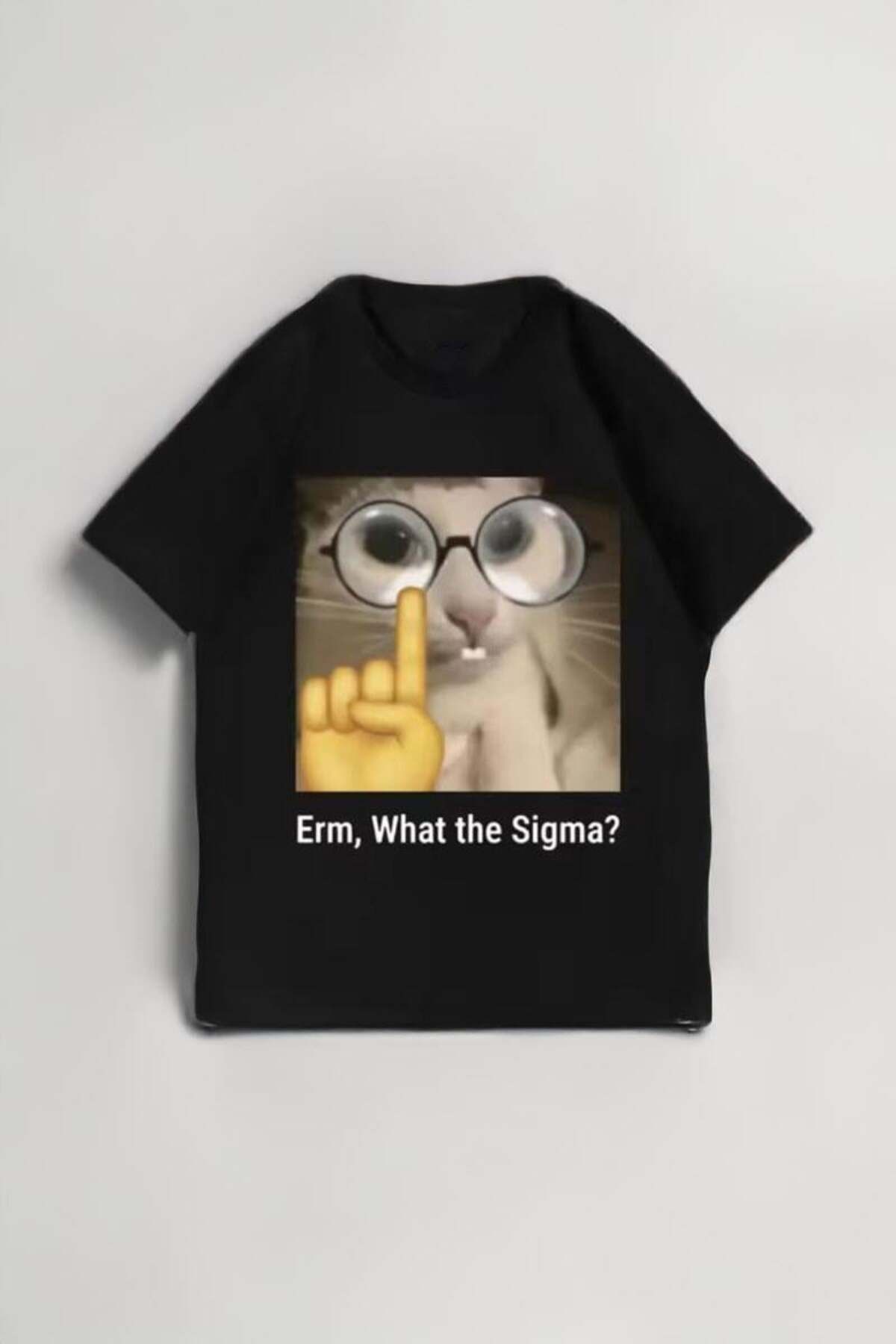 BALİNA Siyah Cat ''Erm, What The Sigma?'' Unisex T-shirt -BLN