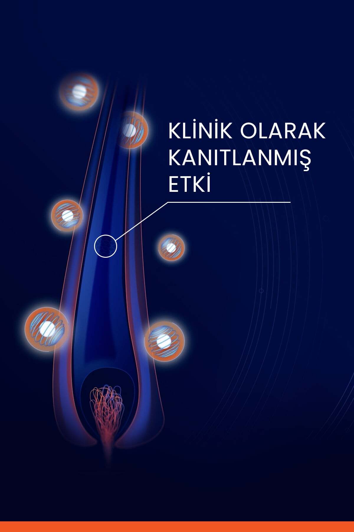 Neoptide Serum 2x50ml + Anaphase Dökülme Karşıtı Şampuan 100ml — PFBPKT79 — تصویر 6 از 8