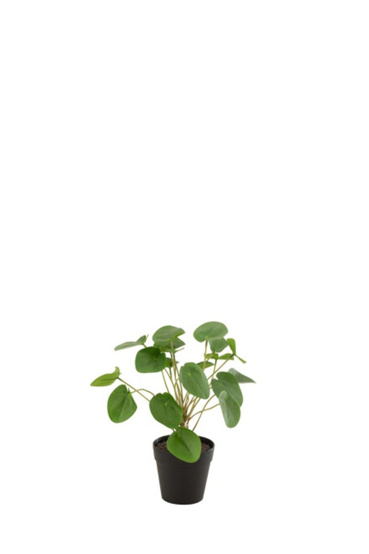 Laromita Decoration PILEA YAPAY BİTKİ