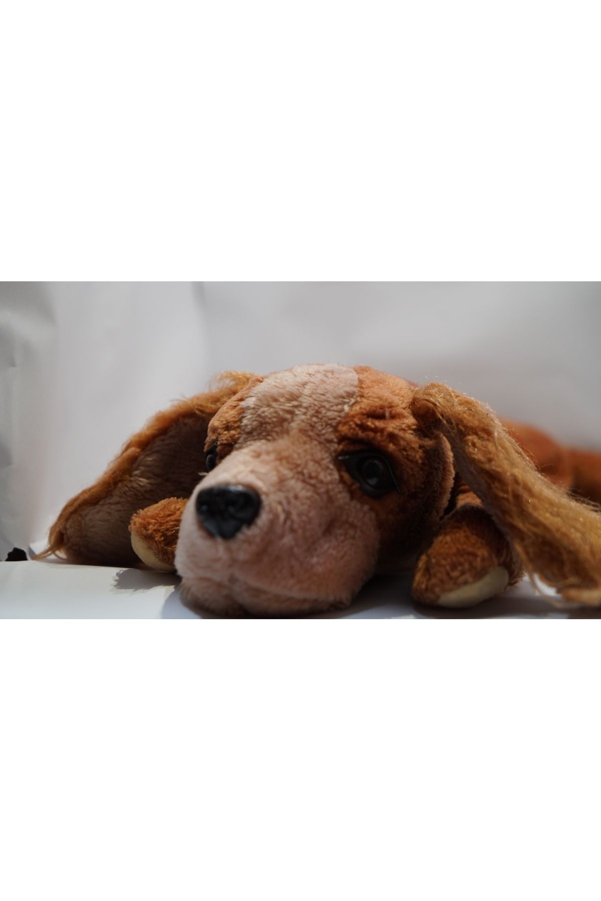 Kids Yumuşak Uyuyan Peluş Köpek Oyuncak – Uzun Gövde - 35x60cm