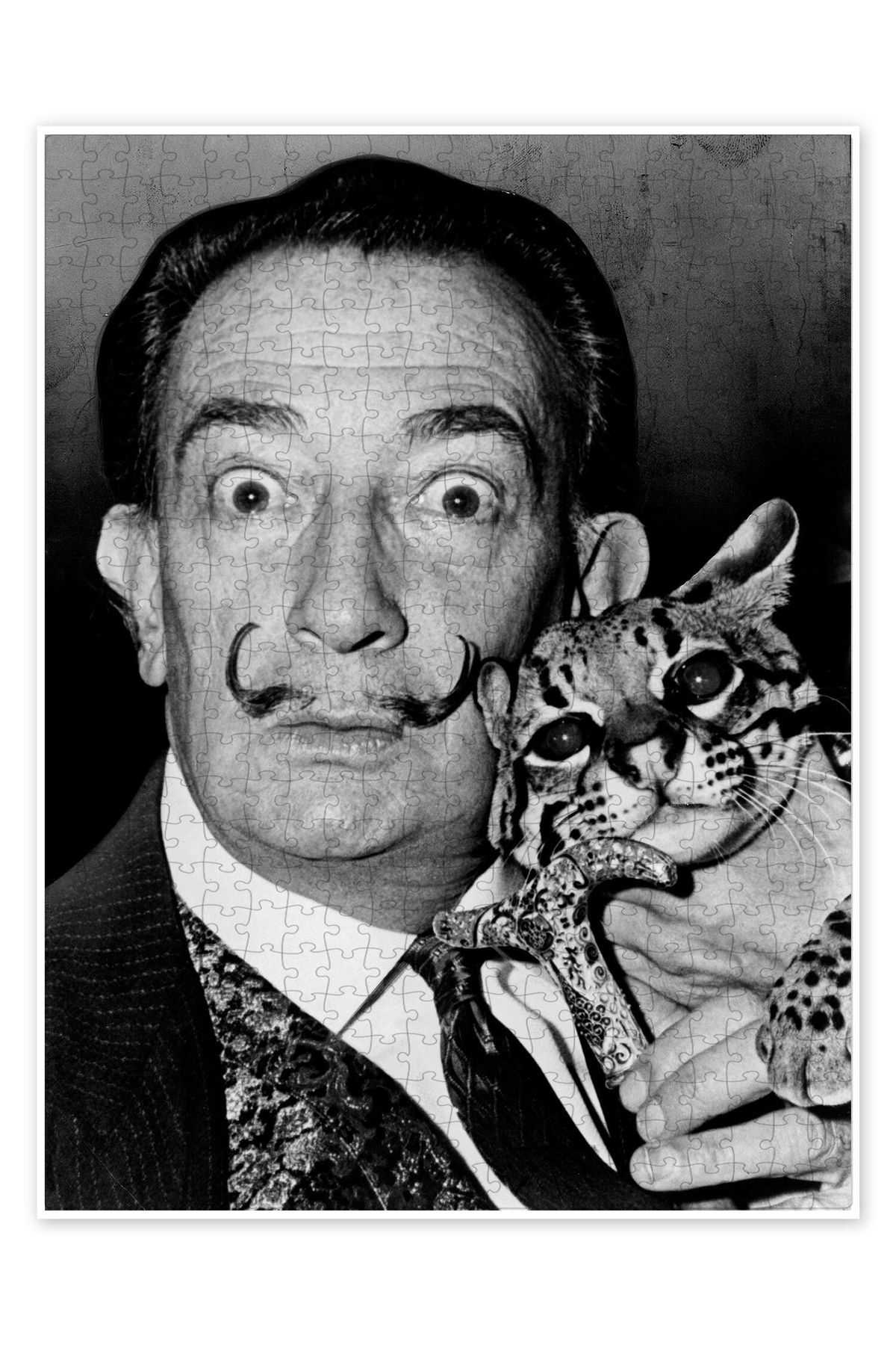 Jeronkarji Salvador Dalí ve ocelotu Babou 500 Parça Puzzle Yapboz Kedi Köpek Temalı Doğa ve Orman Hayvanları