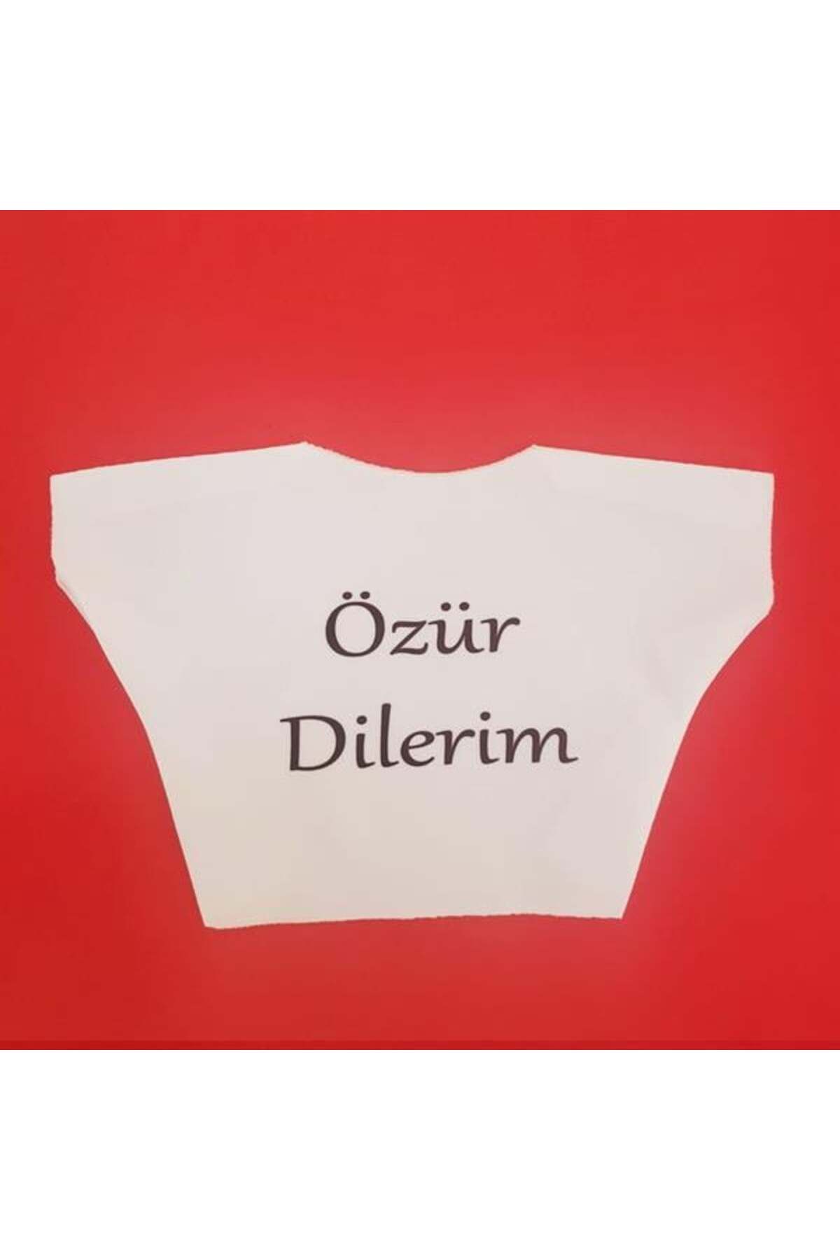 NETWORK ART Özür Dilerim Yazılı Peluş Oyuncak Ayı Tişörtü