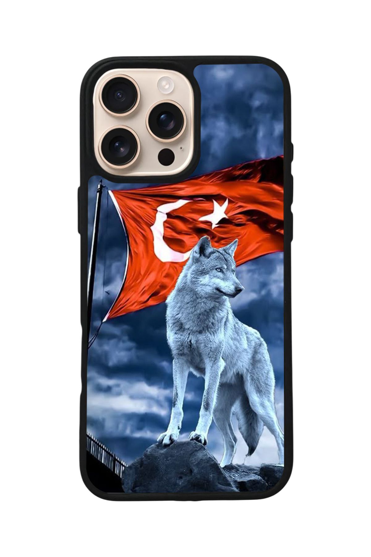 Aksel Kılıf Apple iPhone 16 Pro Uyumlu Baskılı,Mat Siyah,Yumuşak Silikon,Koruyucu,Şok Emici Kapak,Kılıf