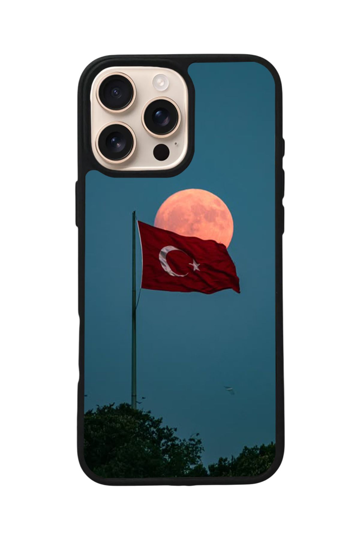 Aksel Kılıf Apple iPhone 15 Pro Max Uyumlu Baskılı,Mat Siyah,Yumuşak Silikon,Koruyucu,Şok Emici Kapak,Kılıf