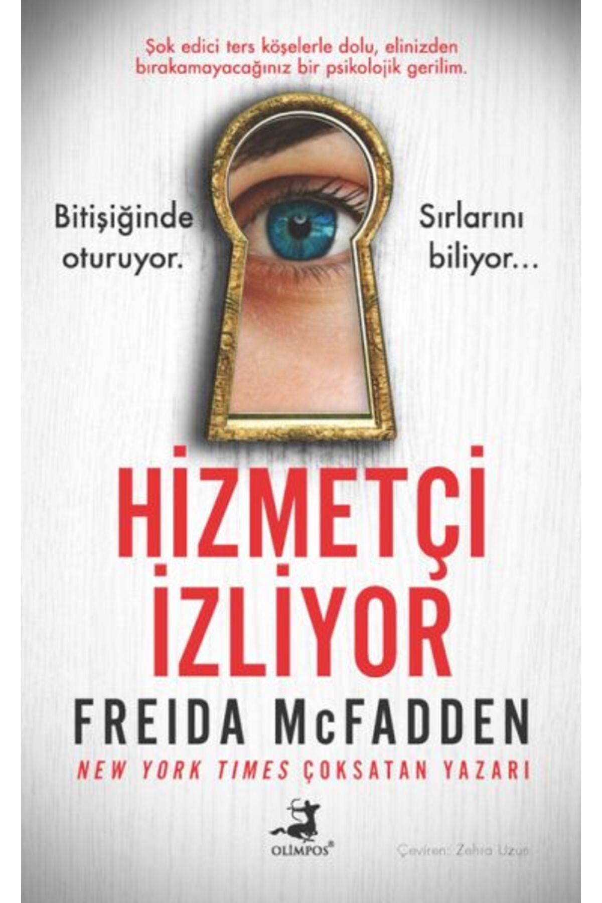 Destek Yayınları Hizmetçi İzliyor