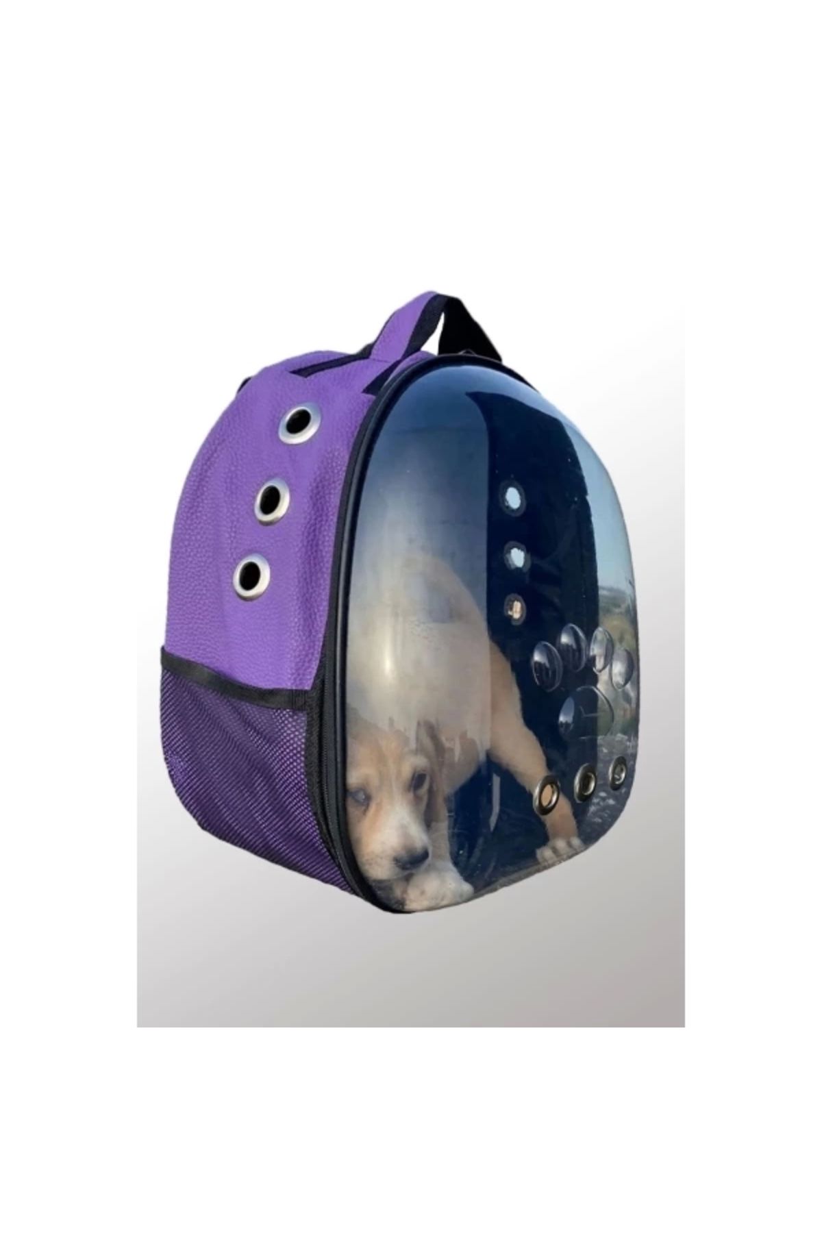 TTT Deri Astronot Kedi Ve Köpek Taşıma Çantası Mor