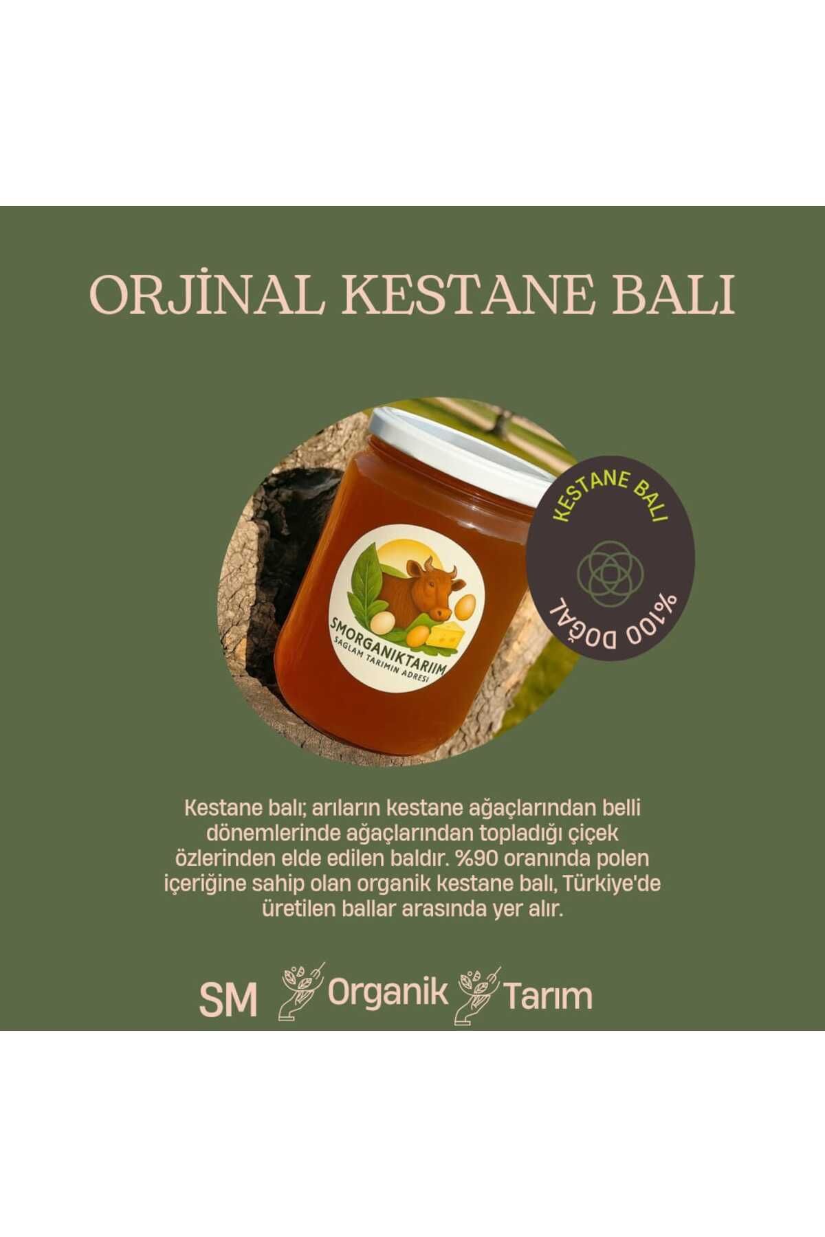 Sm Organik Tarim KESTANE BALI