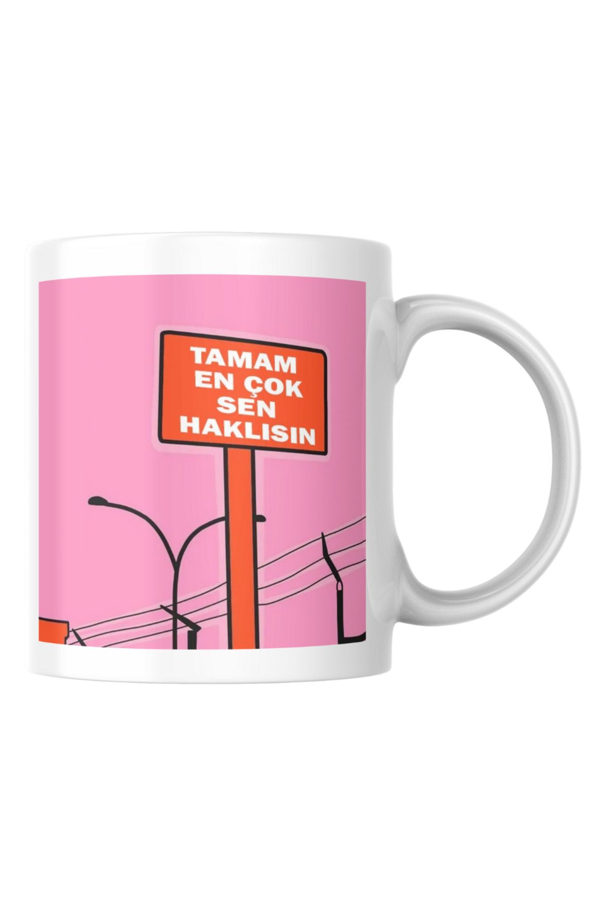 TakeTshirt En Çok Sen Haklısın Komik Yazılı Kupa Bardak Hediyelik Çay Kahve Kupası Coffee Mug