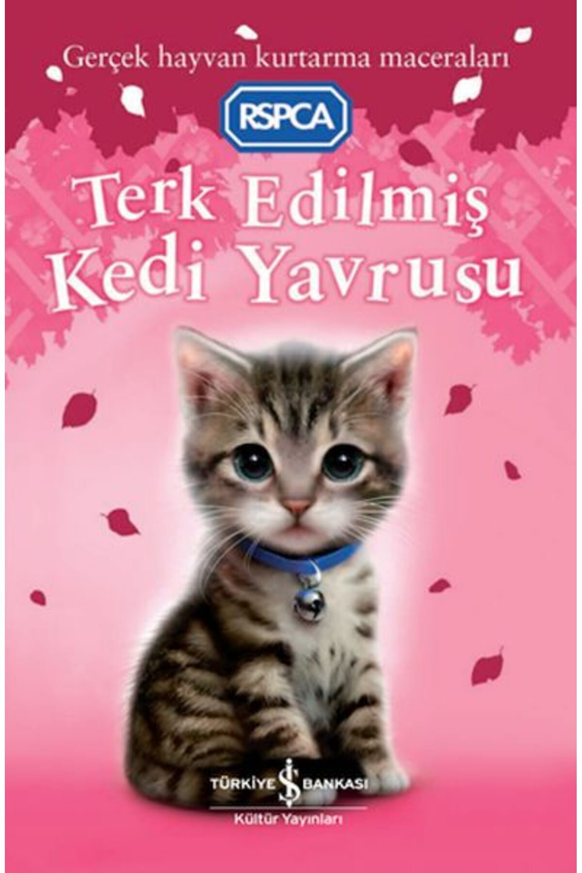 TÜRKİYE İŞ BANKASI KÜLTÜR YAYINLARI Terk Edilmiş Kedi Yavrusu