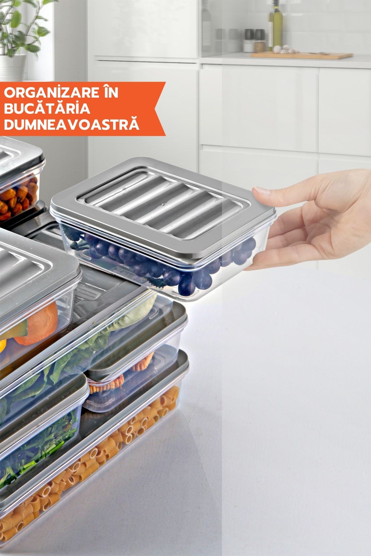 Ginza Maison-Freshbox Set For Food, 9 Boxes With Grey Lid (4X600 ML, 2X1170 ML, 2X2000 ML, 1X2400 ML) 5