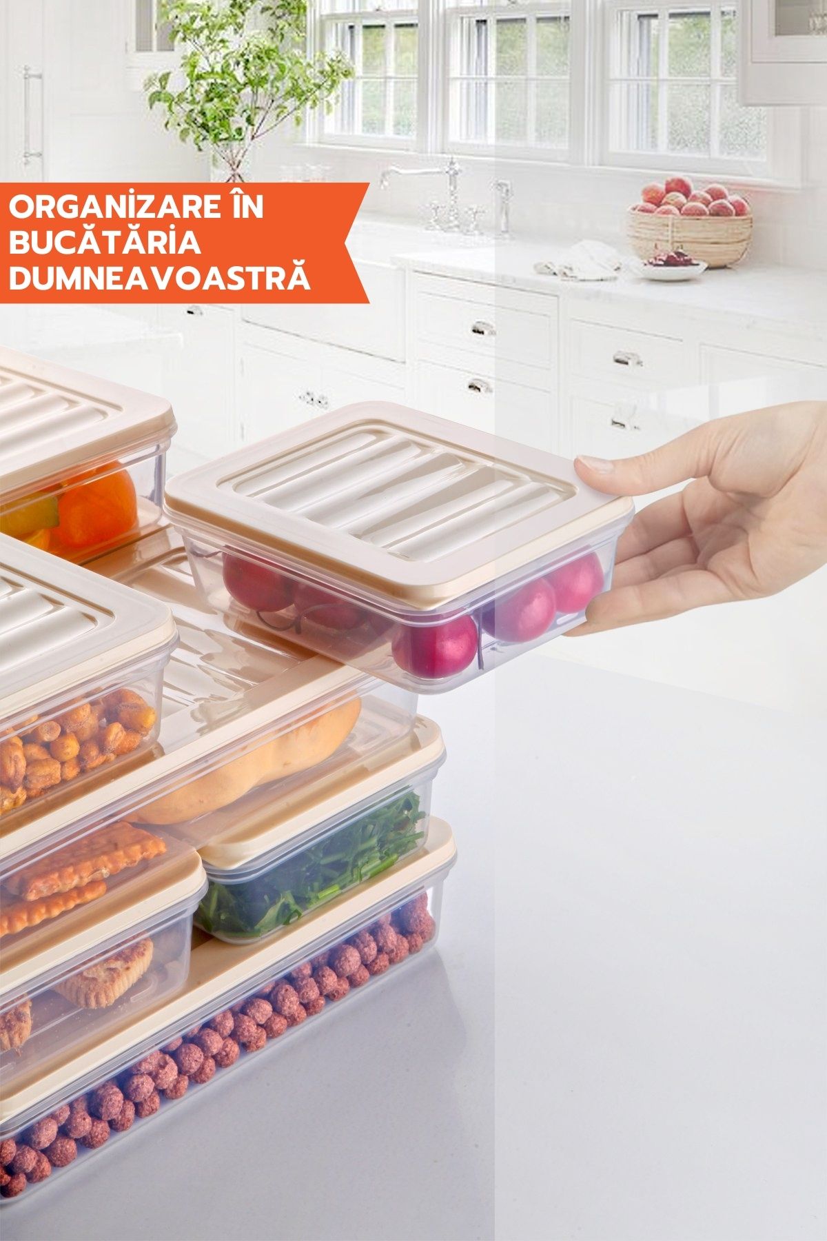 Ginza Maison-Freshbox Food Set, 9 Boxes With Cream Lids (4X600 ML, 2X1170 ML, 2X2000 ML, 1X2400 ML) 5
