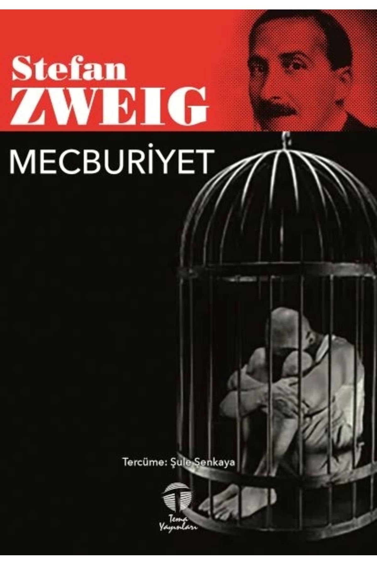 Tema Yayınları Mecburiyet
