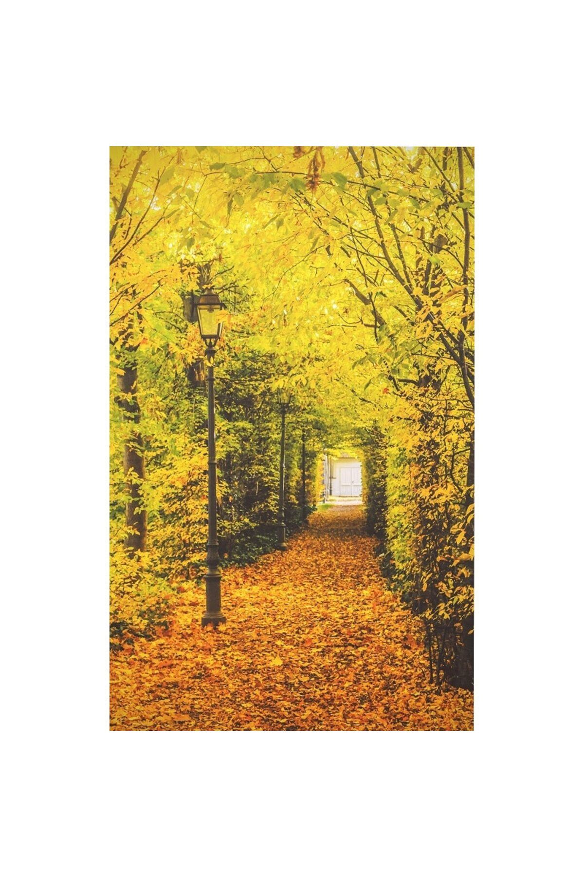 ve Tablou Canvas, Felinar In Parc, 50 X 80 Cm, Rama Lemn, Multicolor - 80 x 50