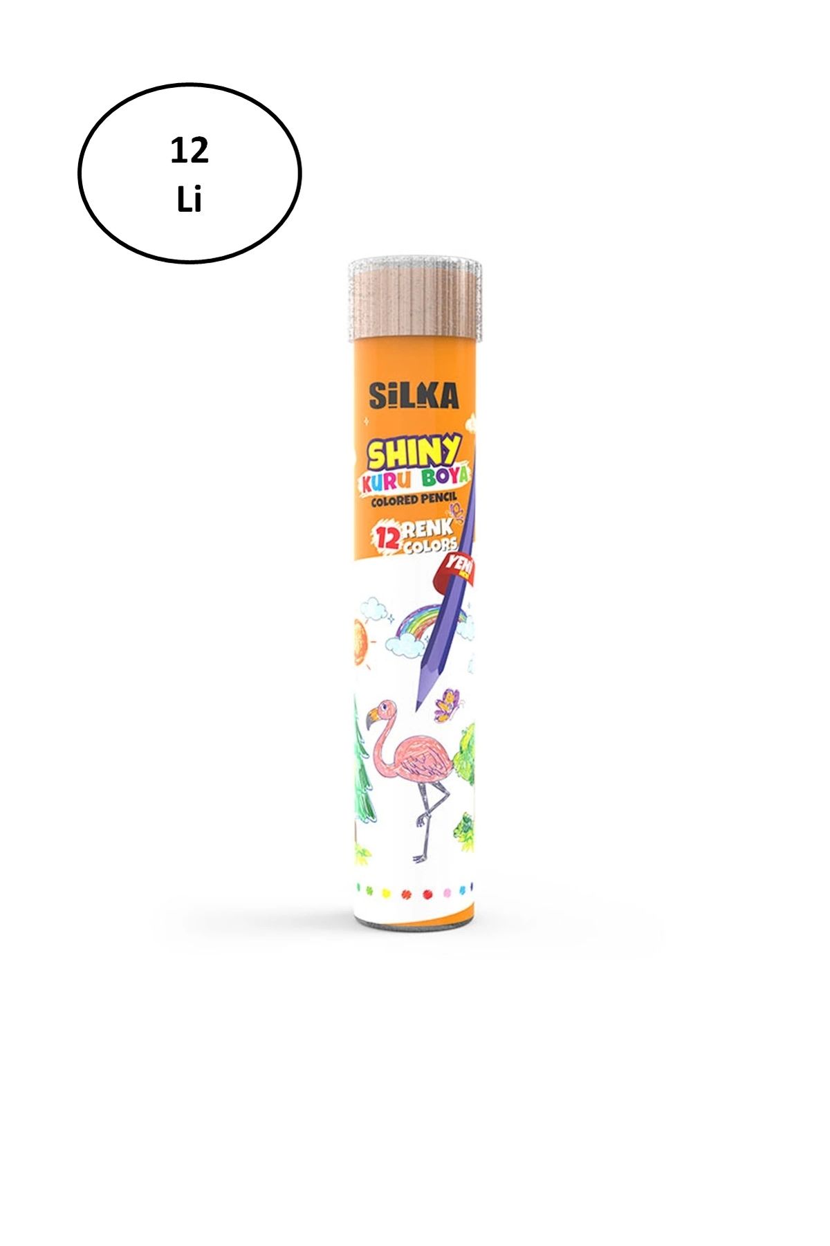 PRATİKOBA Silka Tüp Tam Boy Kuru Boya 12'li