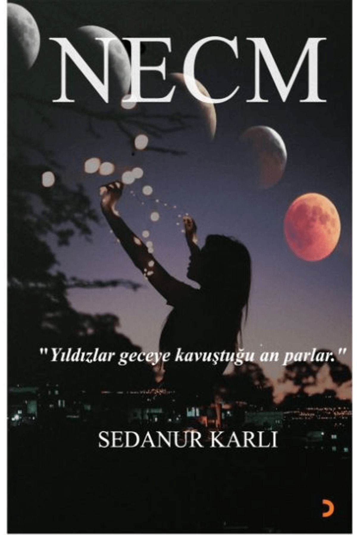 Cinius Yayınları Necm / Sedanur Karlı / Cinius Yayınları / 9786258105261