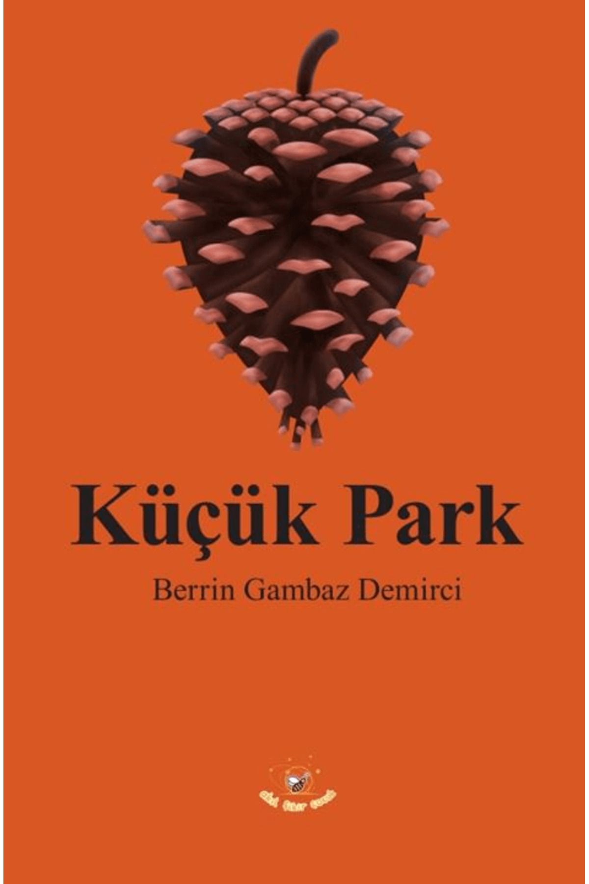 Akıl Fikir Yayınları Küçük Park / Berrin Gambaz Demirci / Akıl Fikir Yayınları / 9786256246492