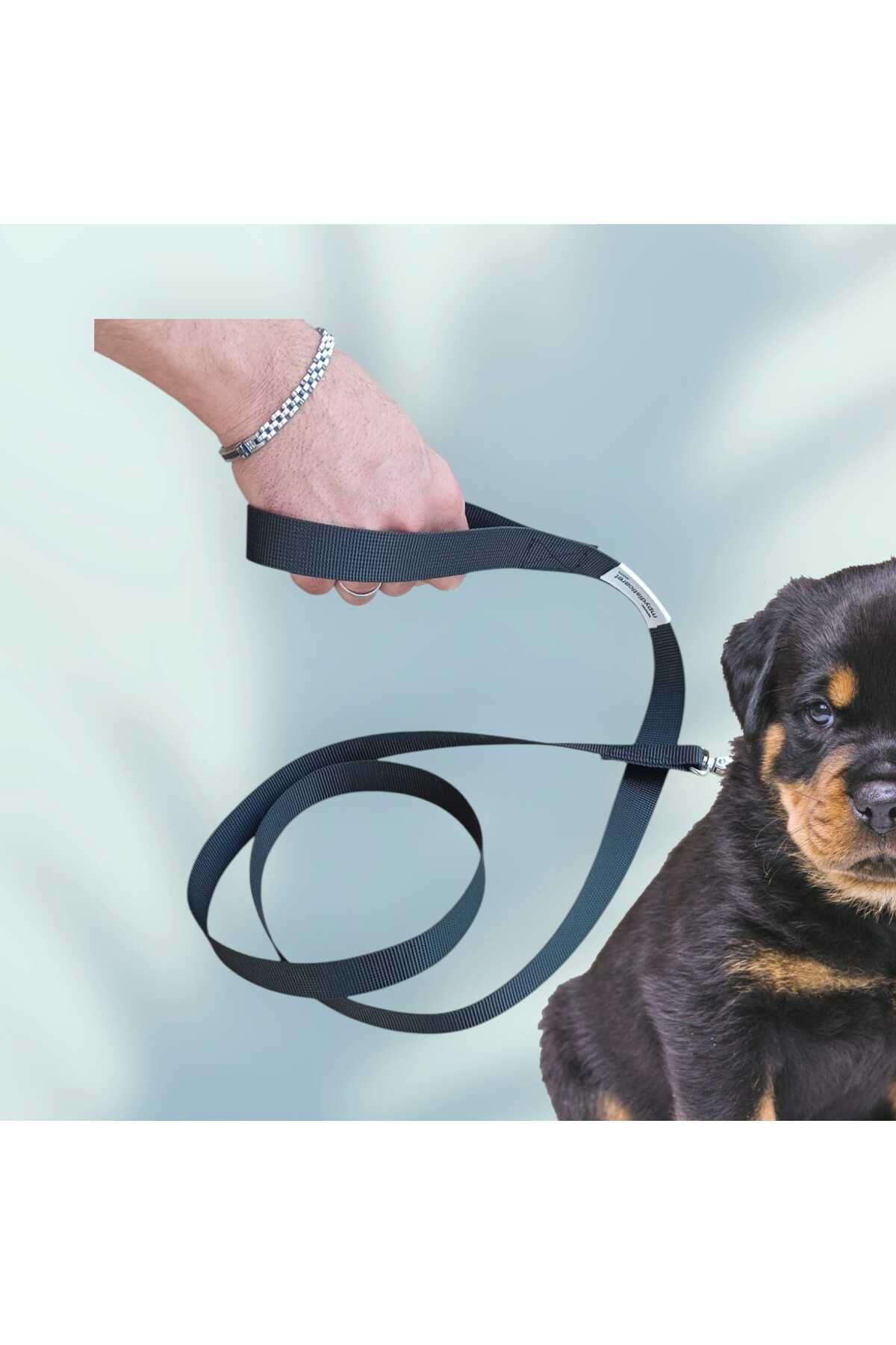LUCKY 150 cm, Köpek Gezdirme İpi, Köpek Gezdirme Kayışı ,Mr. Lucky Pets
