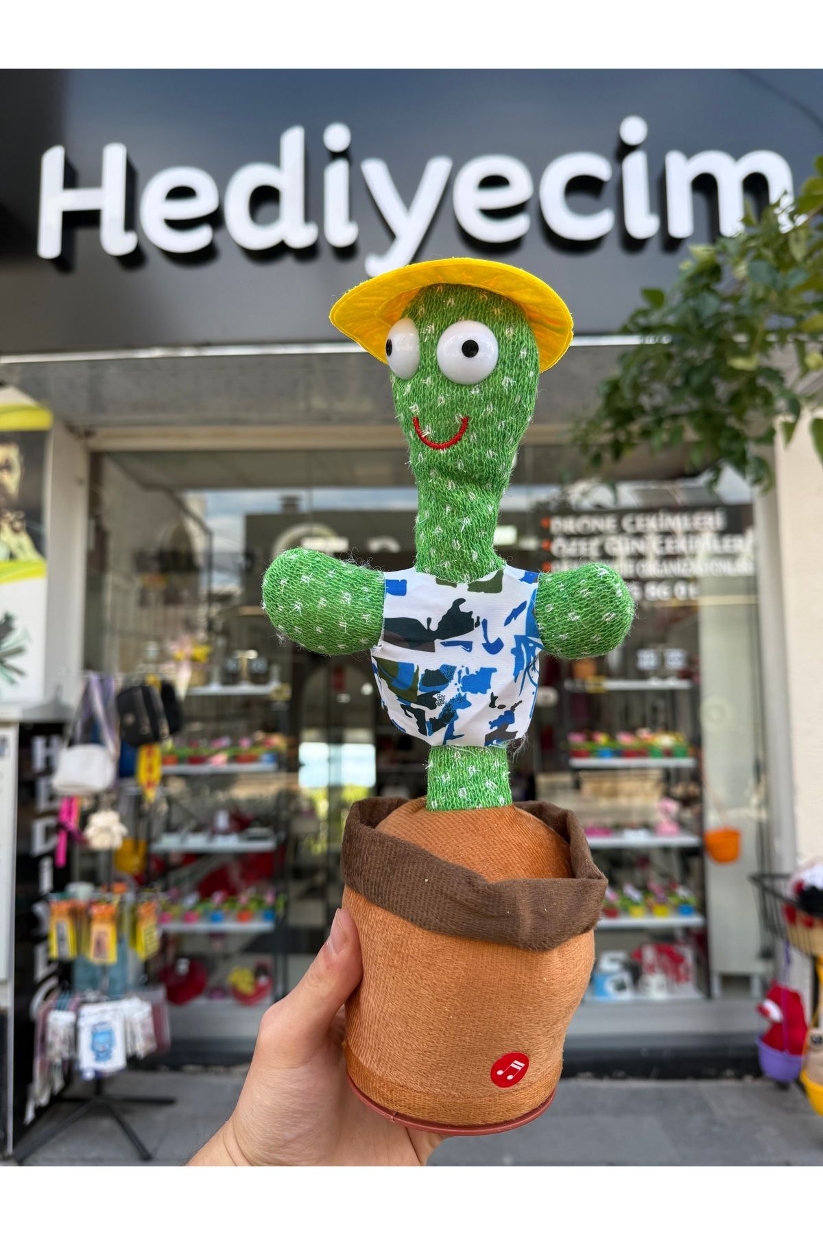 shop Ses kayıtlı oynayan kaktüs