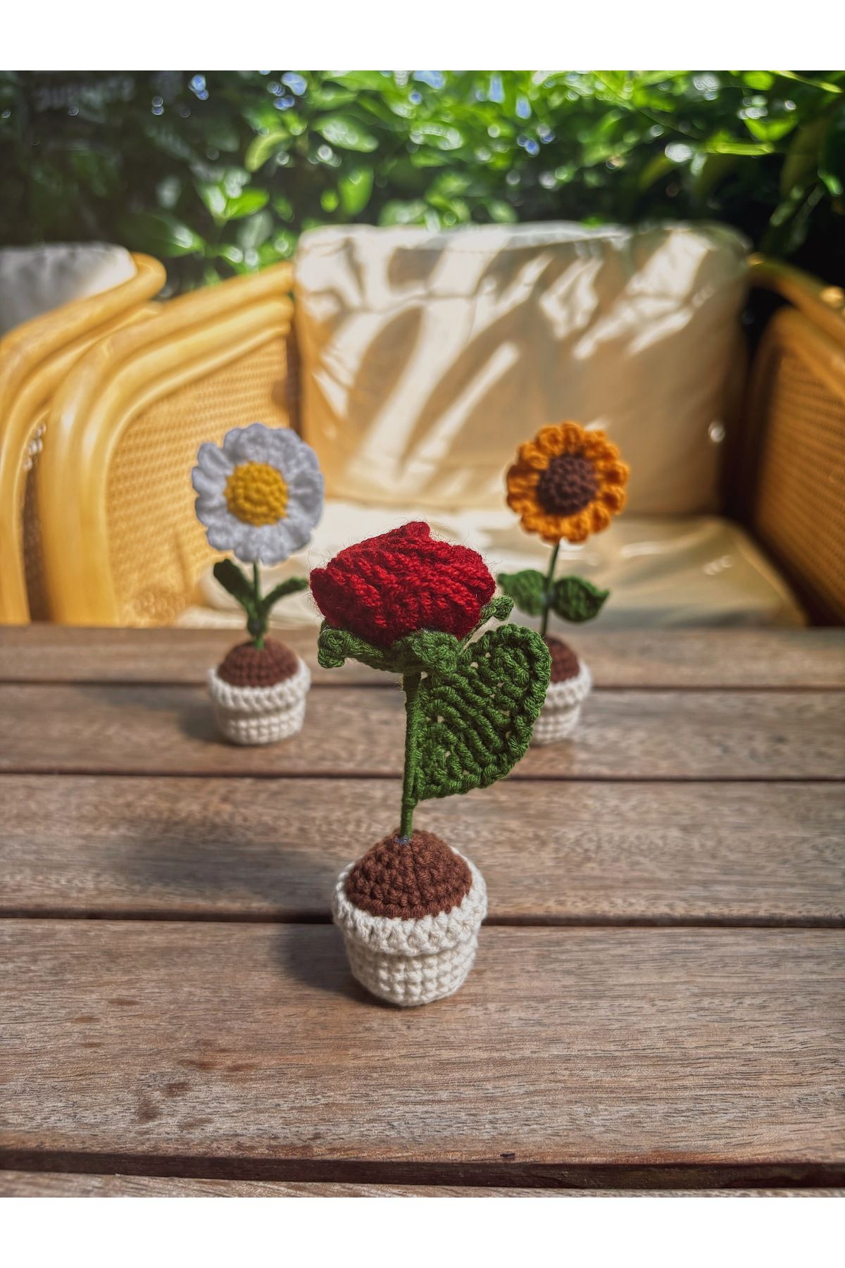 Sustaina Craft El Yapımı Mini Saksı Çiçek – Masa Süsü Papatya, Gül, Ayçiçeği