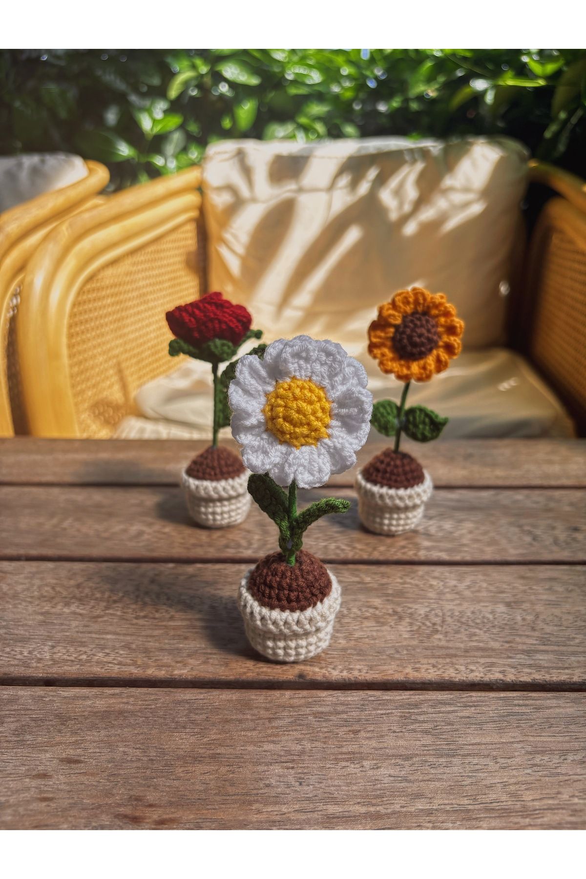Sustaina Craft El Yapımı Mini Saksı Çiçek – Masa Süsü Papatya, Gül, Ayçiçeği