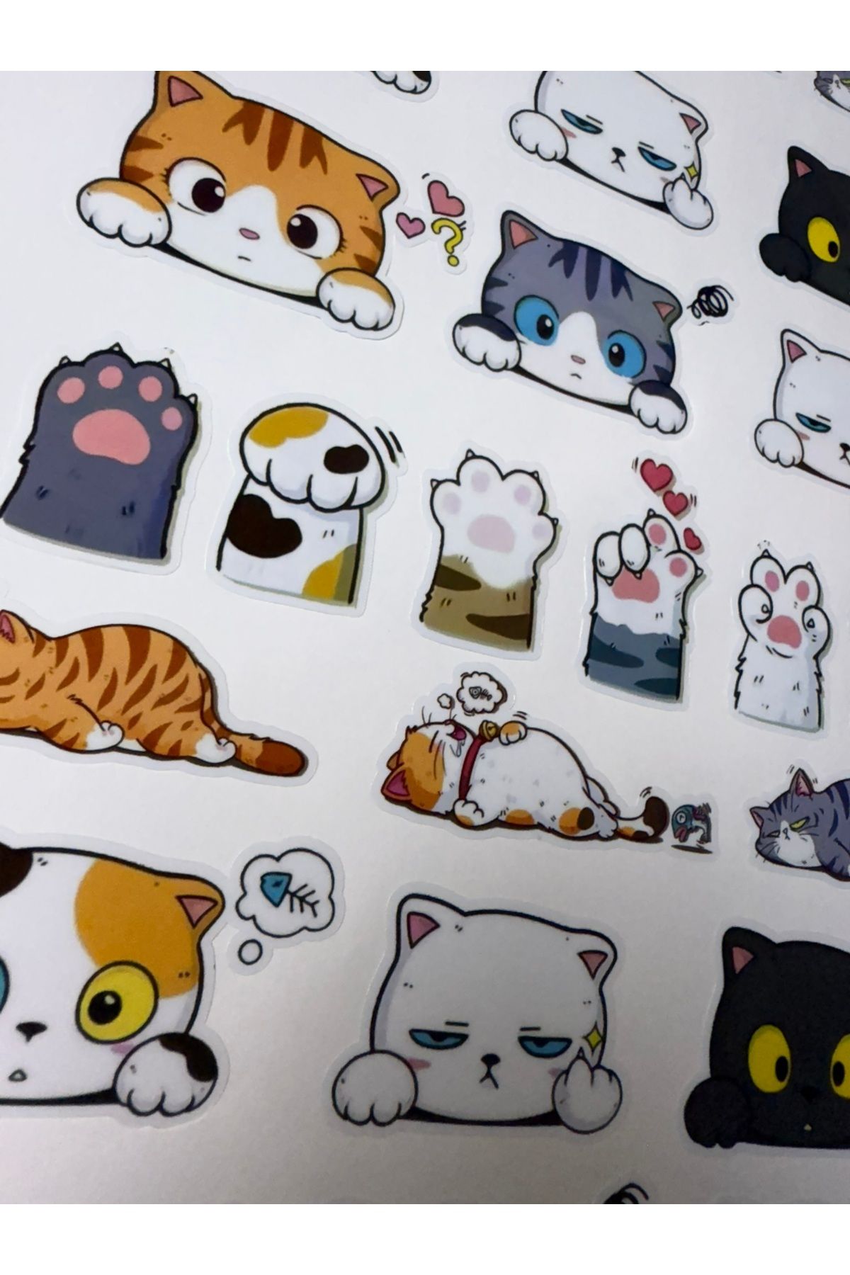 cakaybu Kedi Laptop Sticker ( Etiket ) notebook,kask, duvar, bisiklet, motosiklet, dolap, kapı