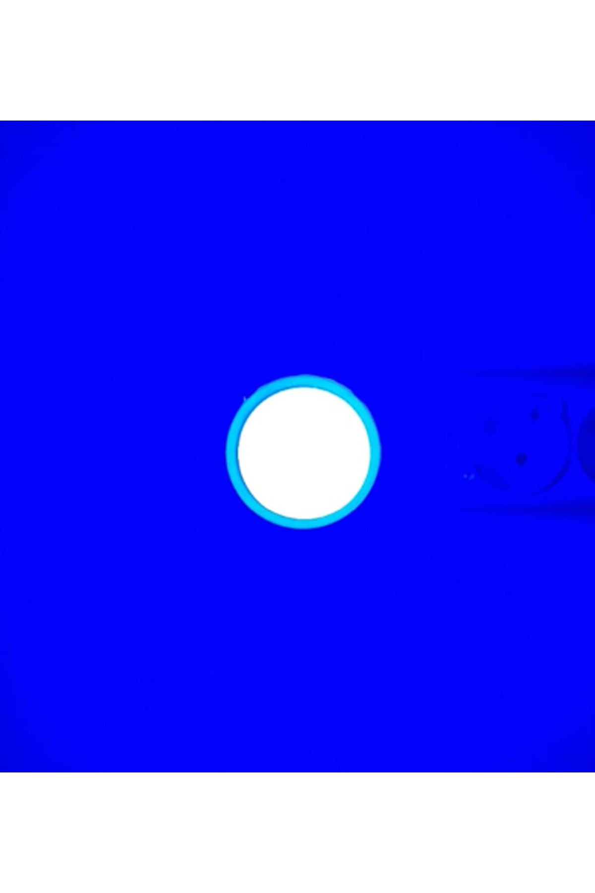 PUFFIN MAVİ 3 WATT E-27 DUY LED GECE LAMBASI 1 ADET