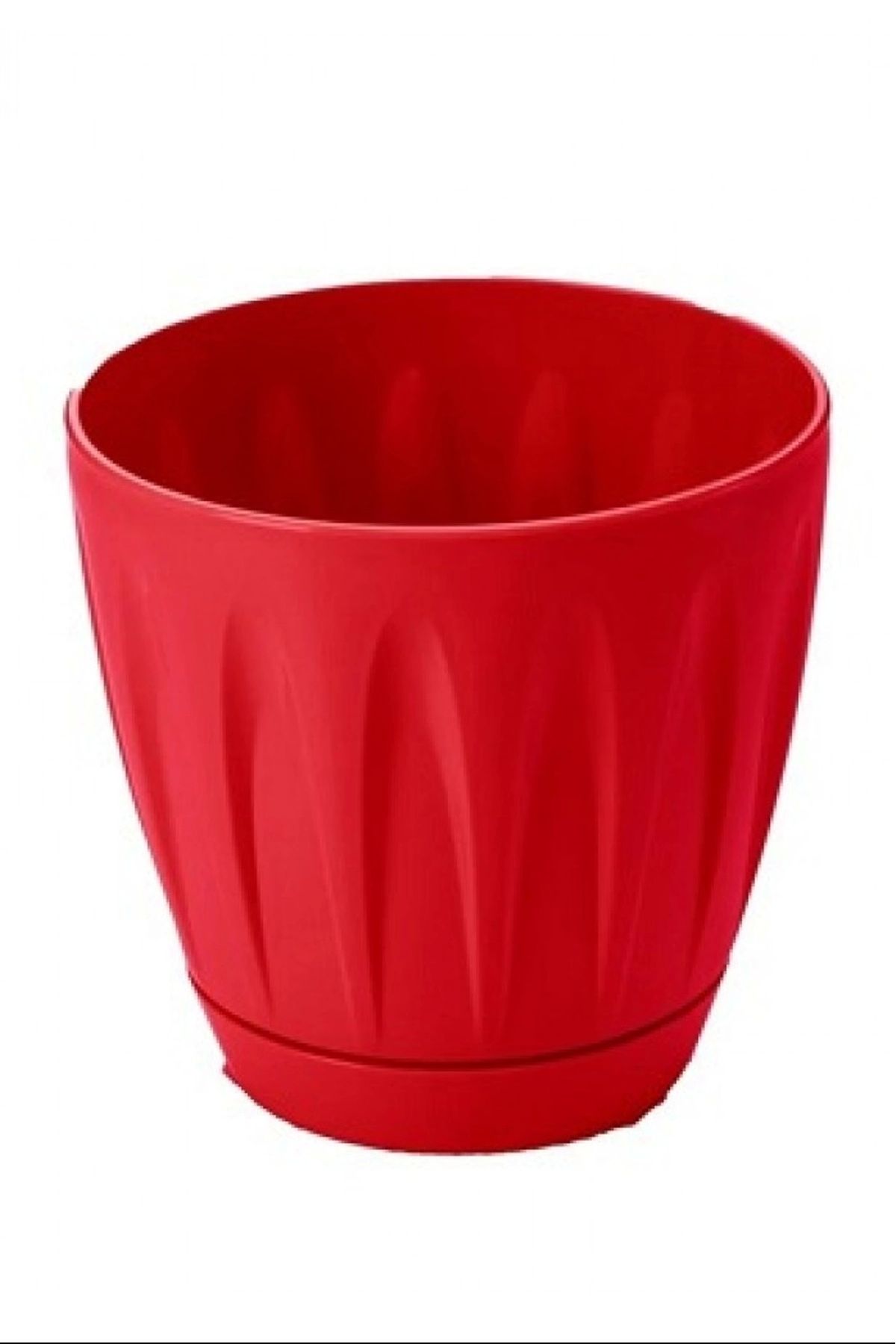 PRATİKOBA Papatya Saksı 3 Litre Royaleks-P003
