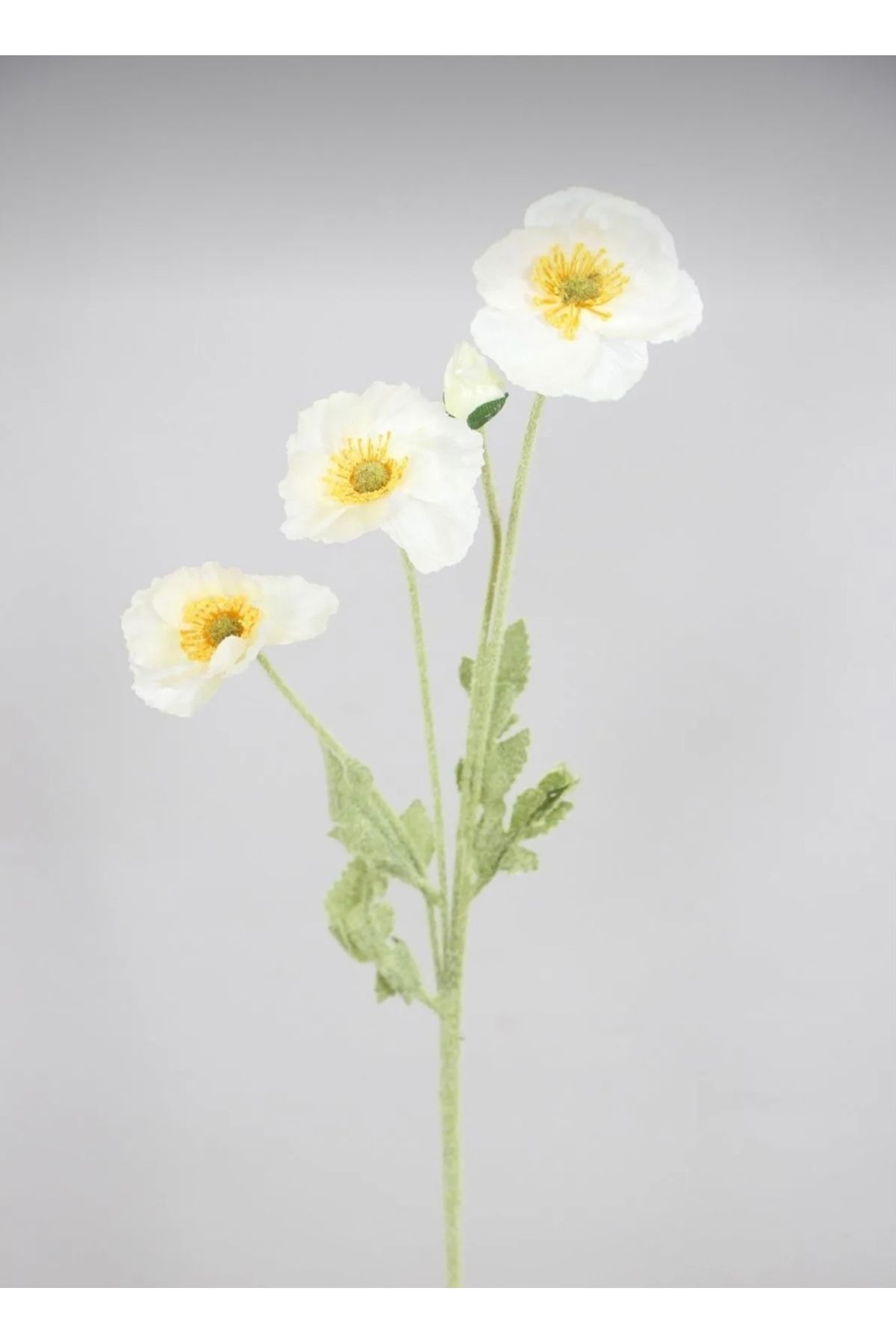 bliss store Yapay Çiçek 4lü Gelincik Dalı 60 cm Beyaz