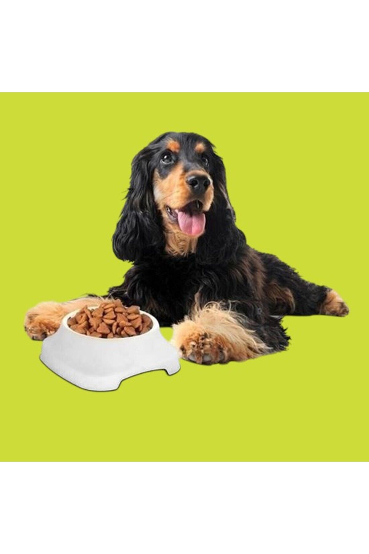 PratikAI Silikon Kaydırmaz Taban Plastik Kedi & Köpek Mama ve Su Kabı | Sağlam & Pratik