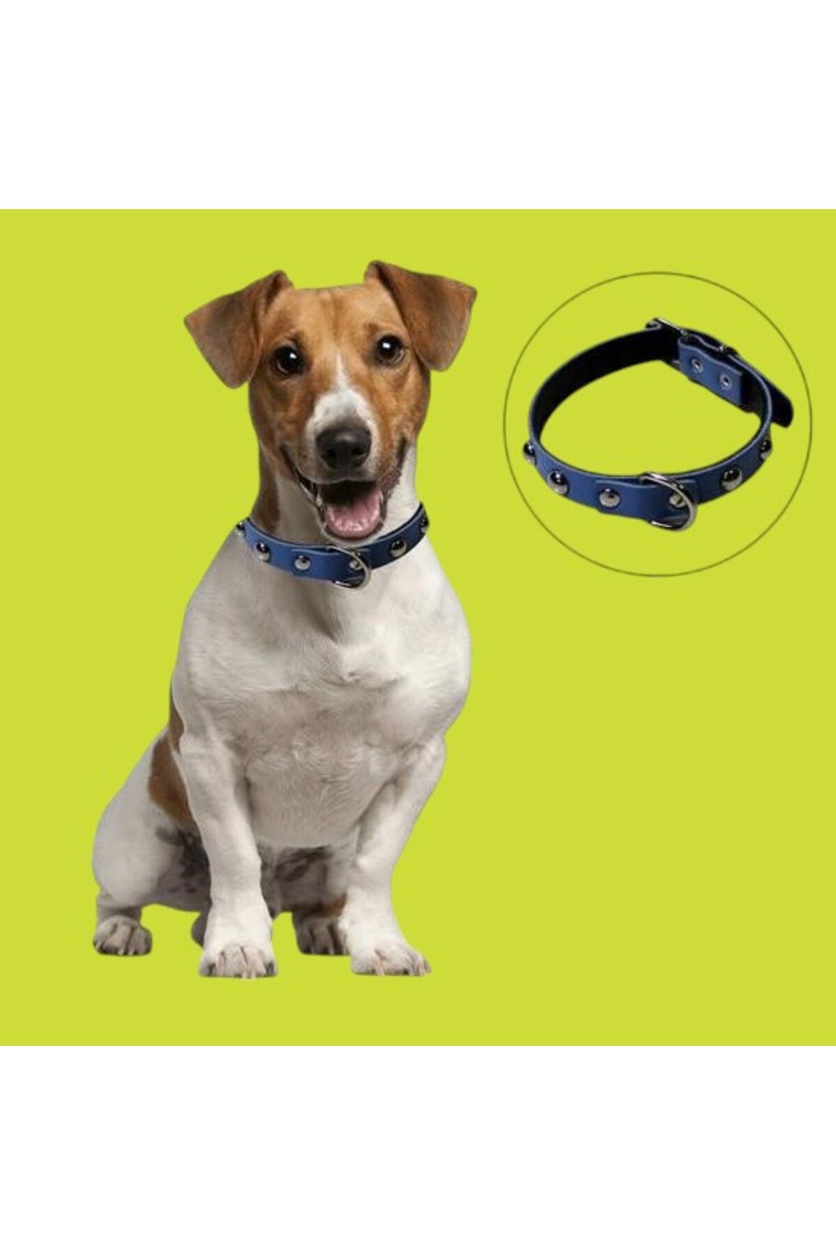 PratikAI Yumuşak Dokulu Deri Köpek Gezdirme Boyun Tasması | Rahat & Dayanıklı